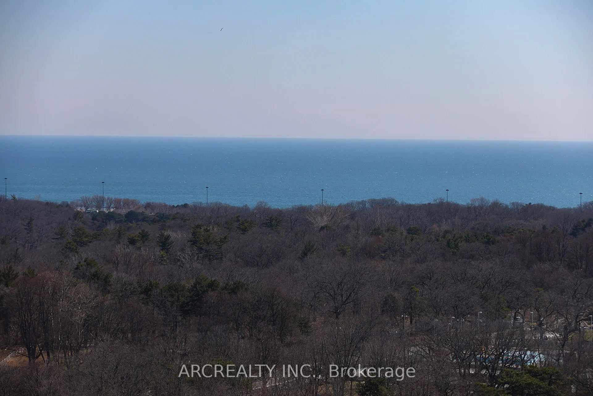 50 Quebec Avenue #2401