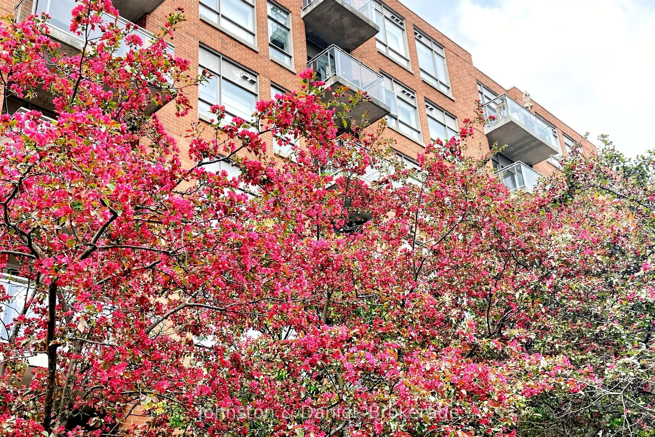 2495 Dundas Street W #417