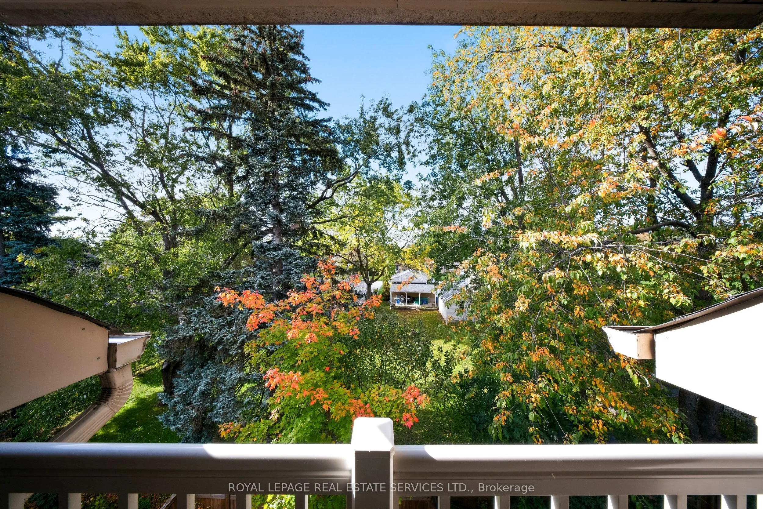 1233 Azinger Lane