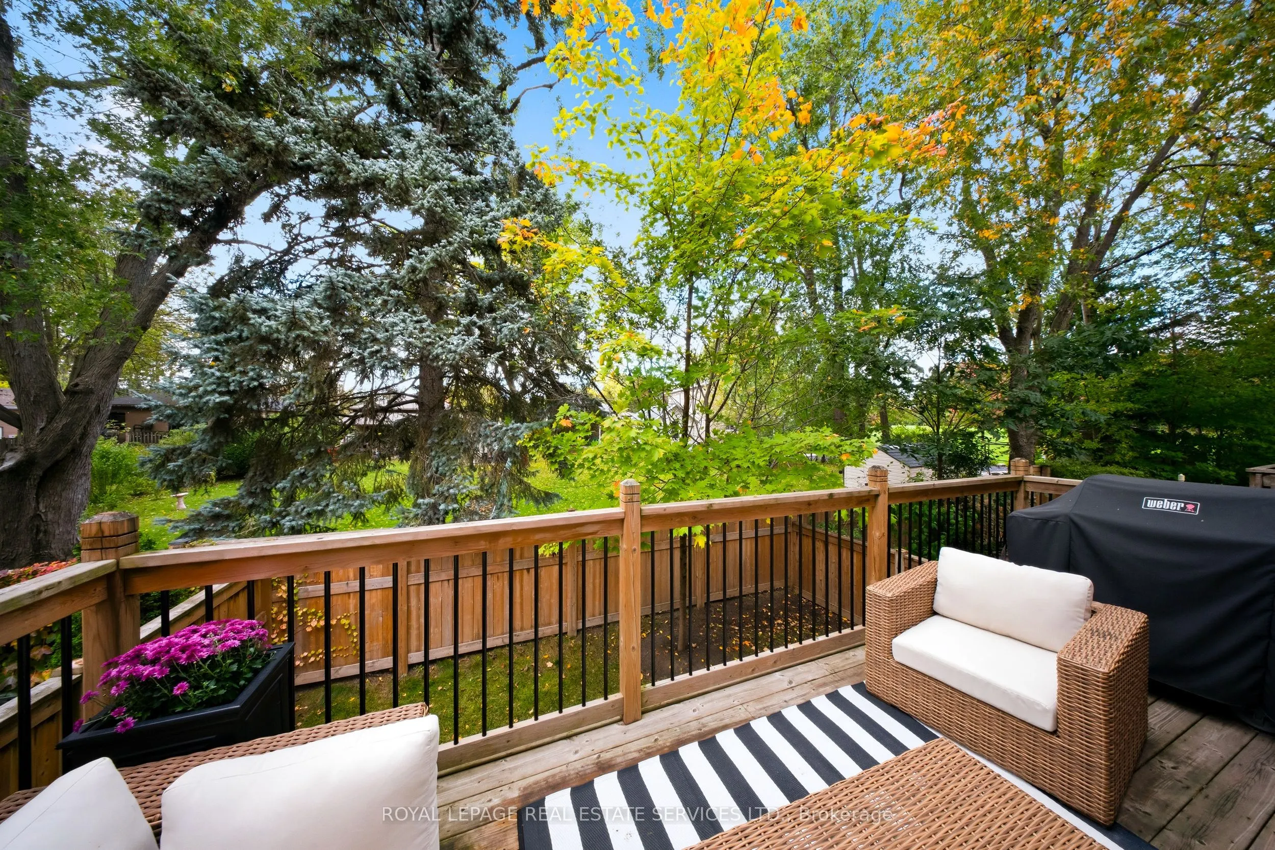 1233 Azinger Lane