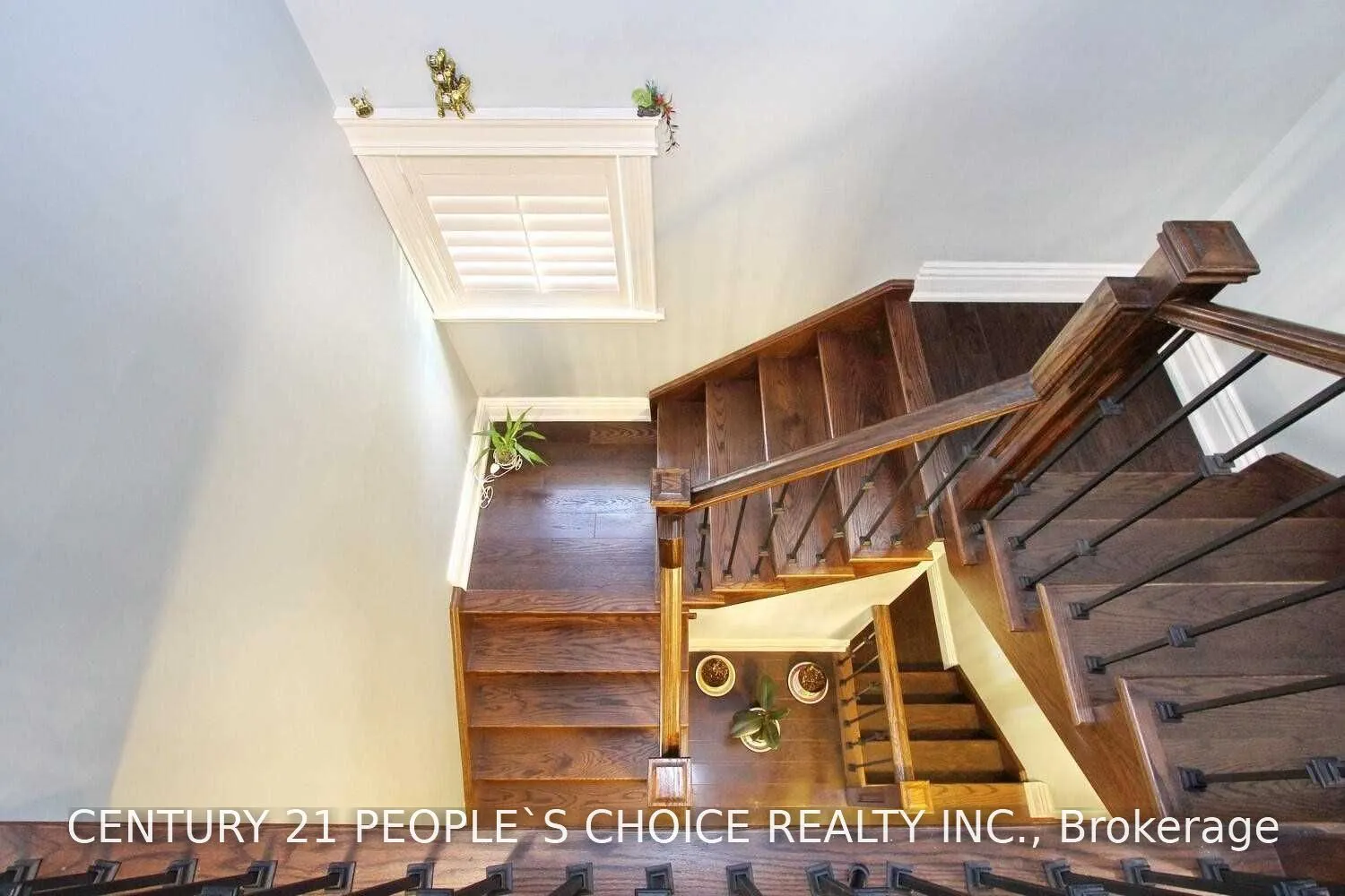6 Stirrup Court