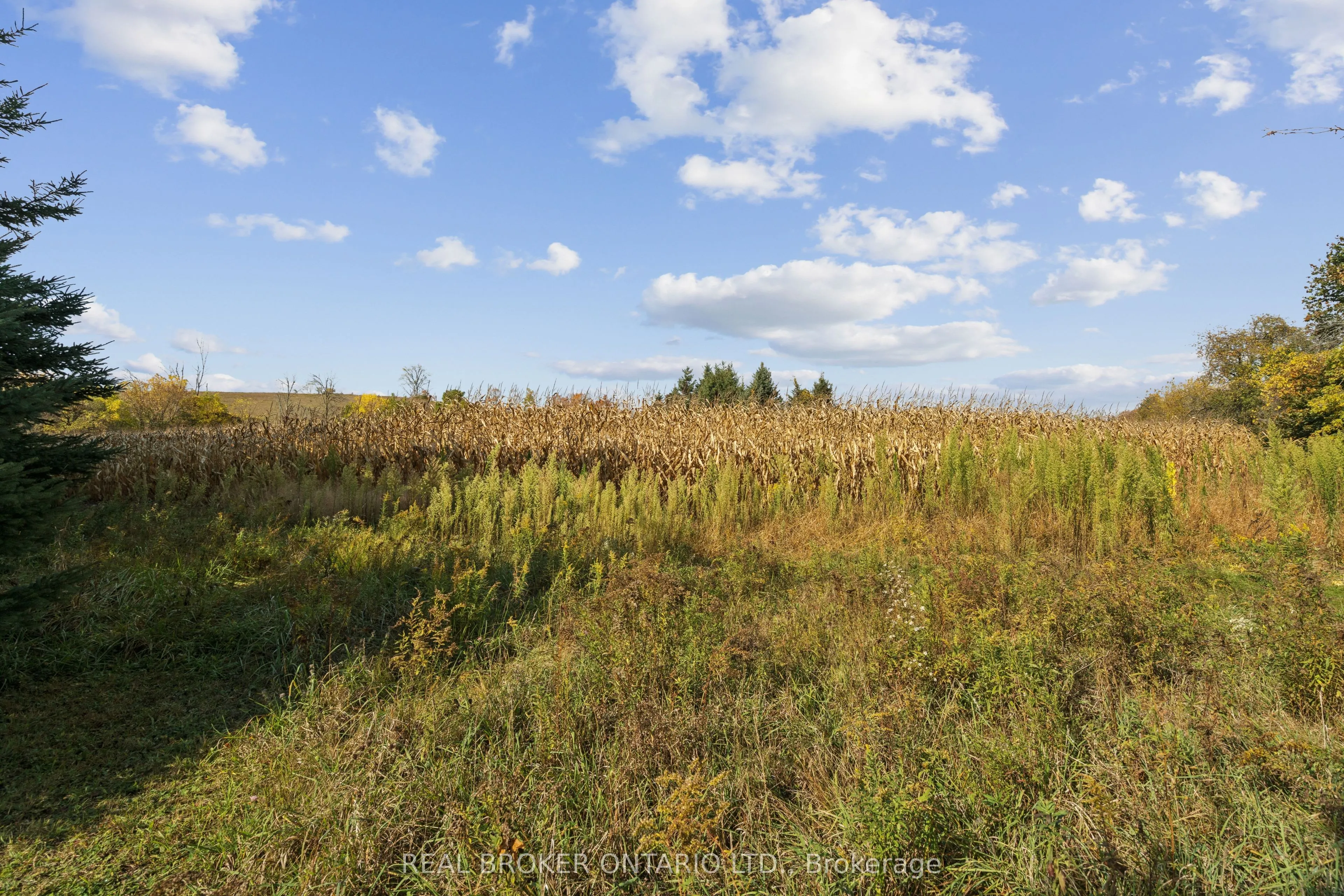 5649 25 Side Road