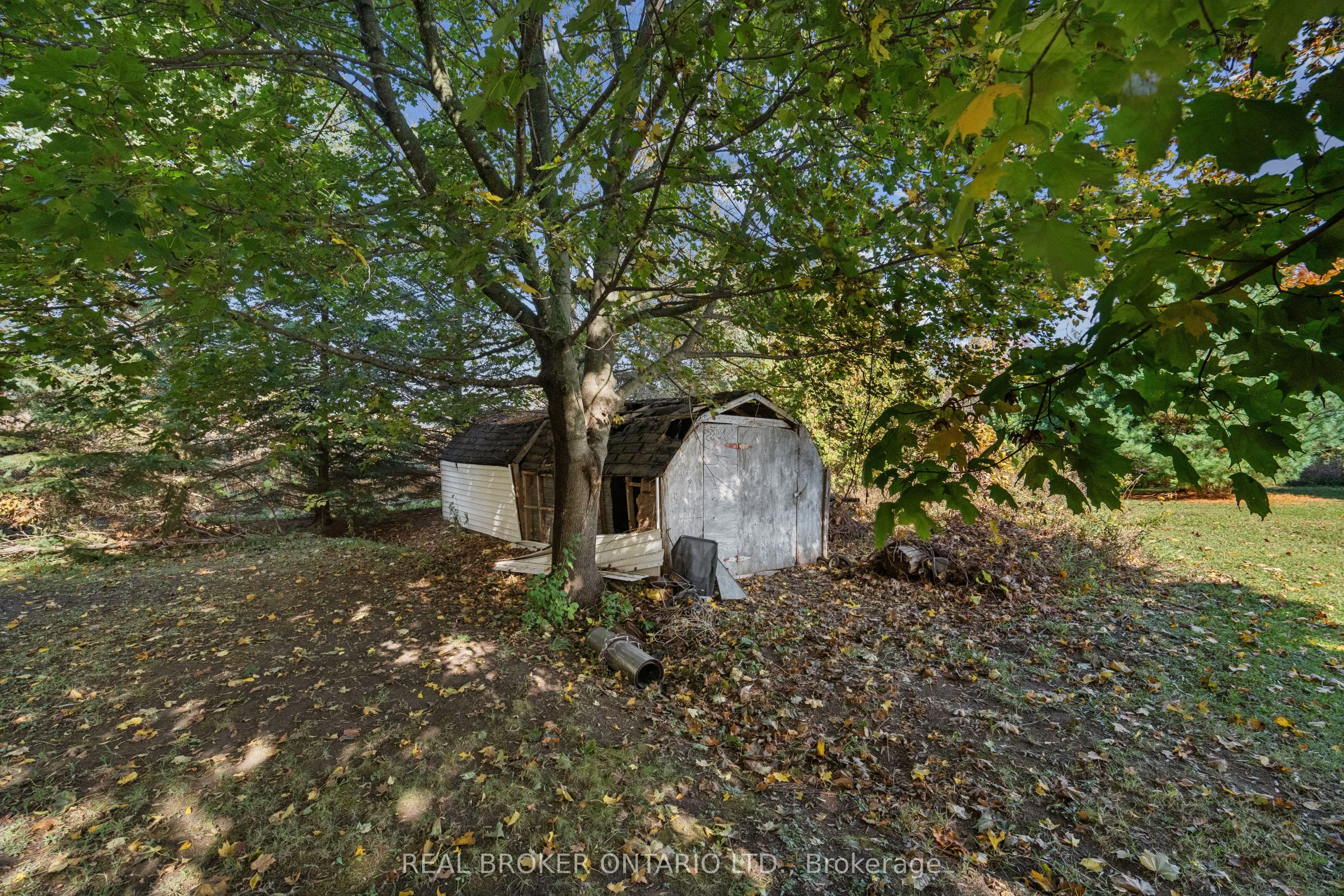 5649 25 Side Road