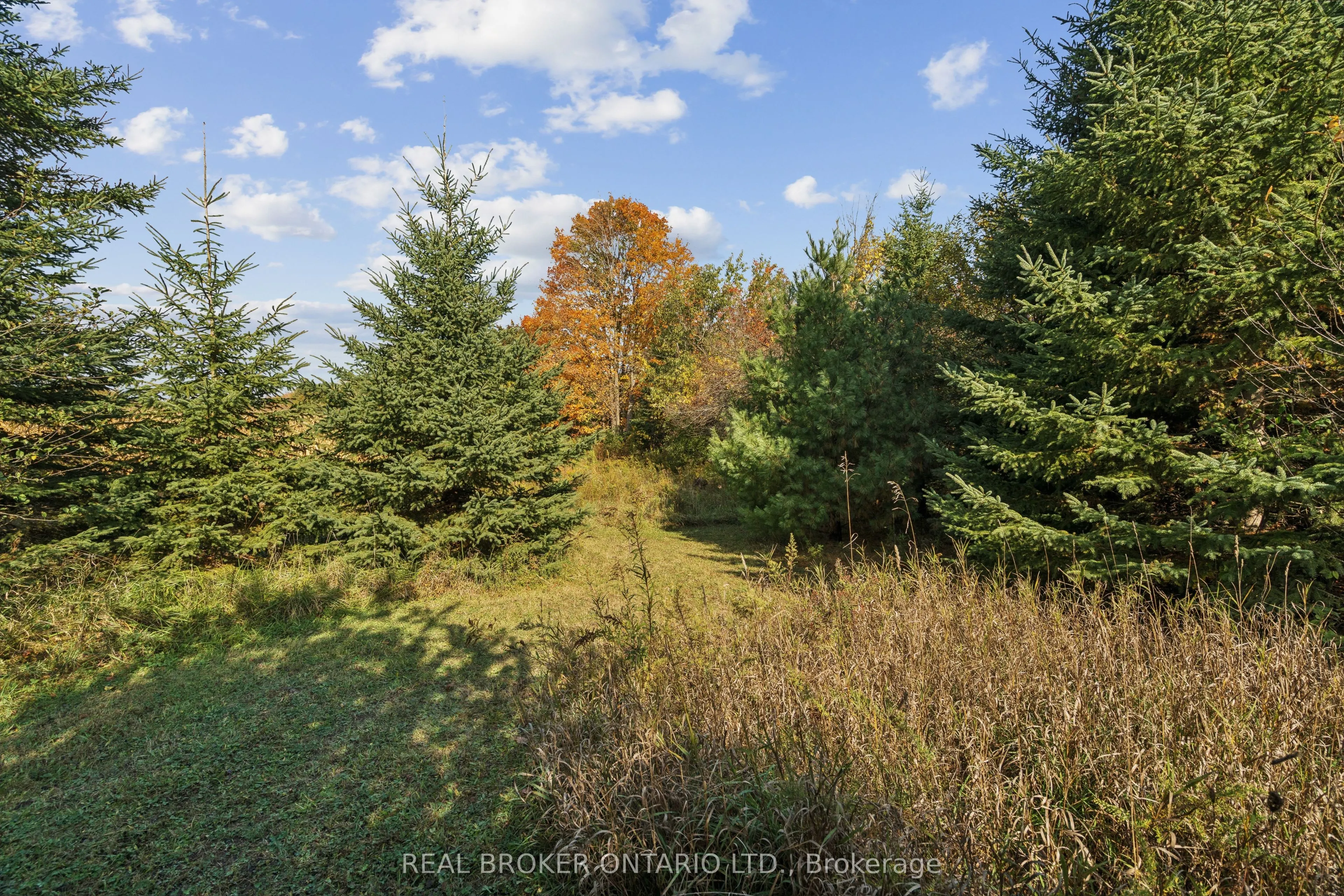 5649 25 Side Road