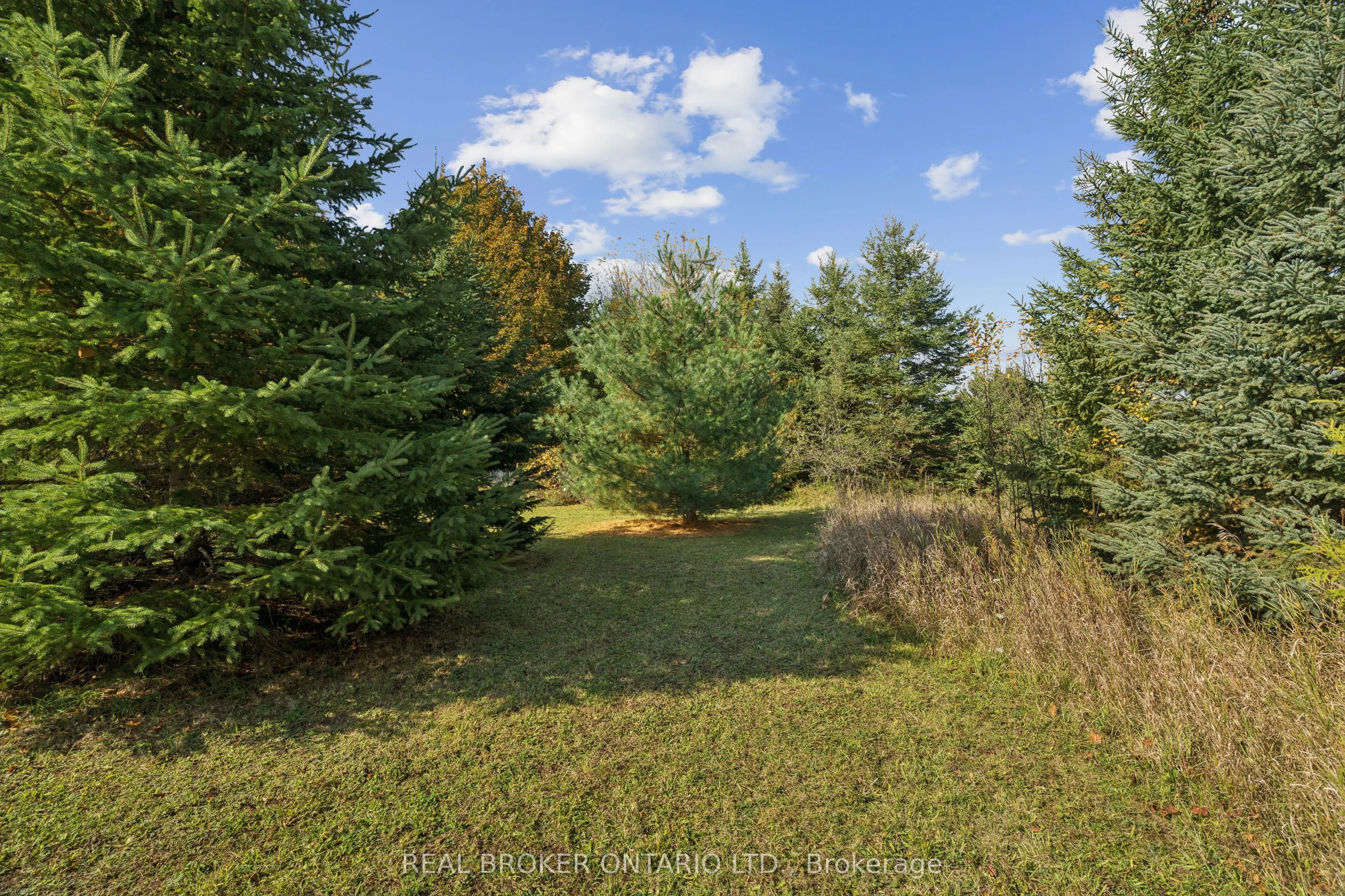 5649 25 Side Road