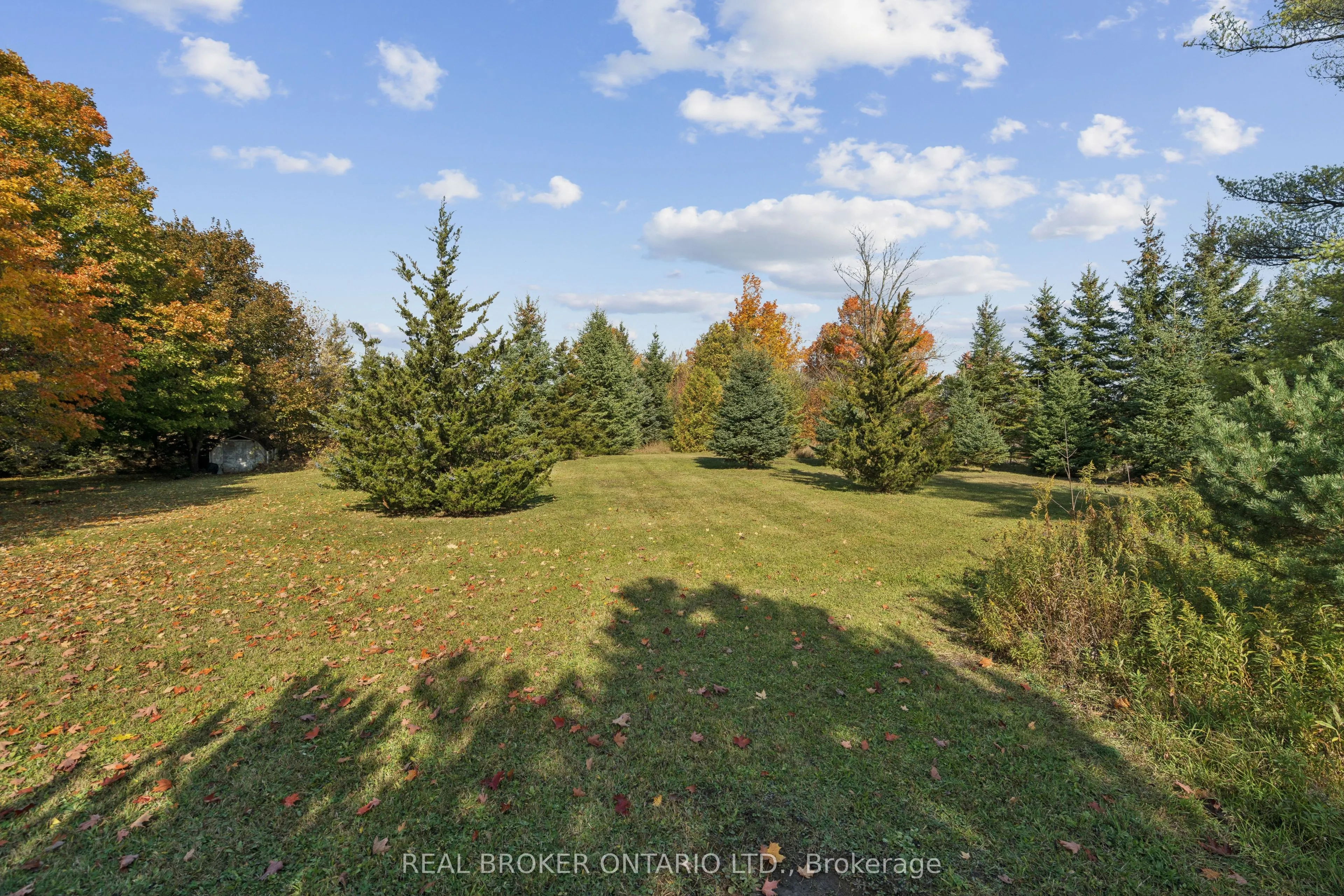 5649 25 Side Road