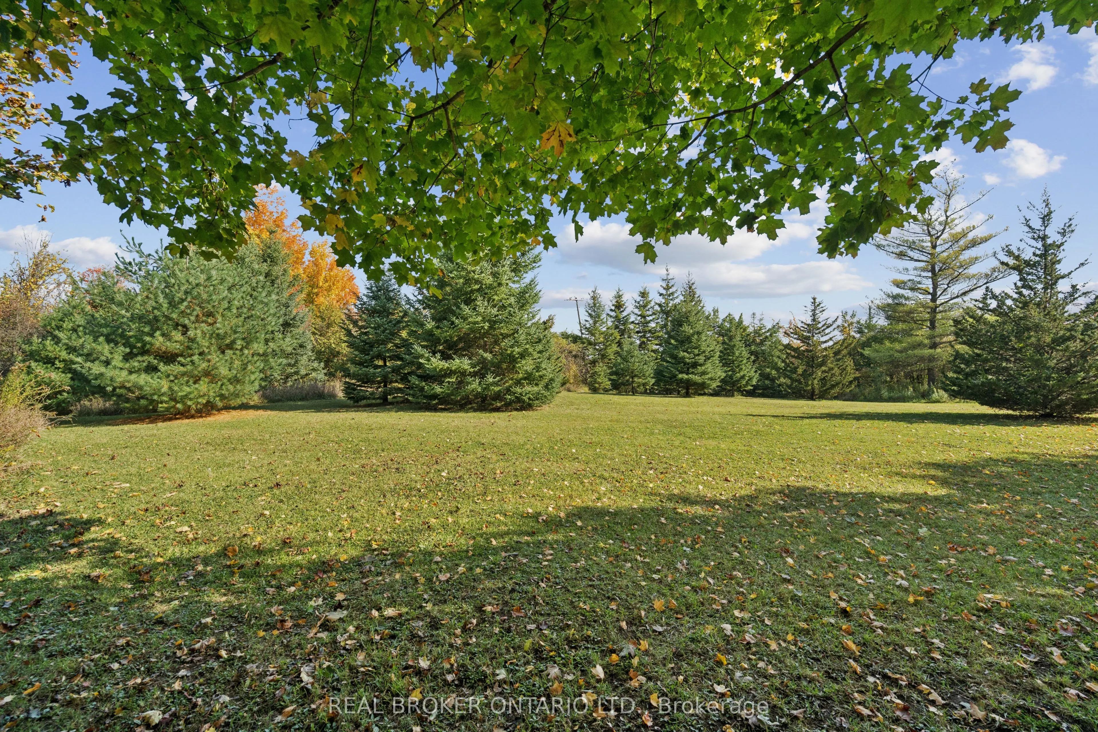 5649 25 Side Road