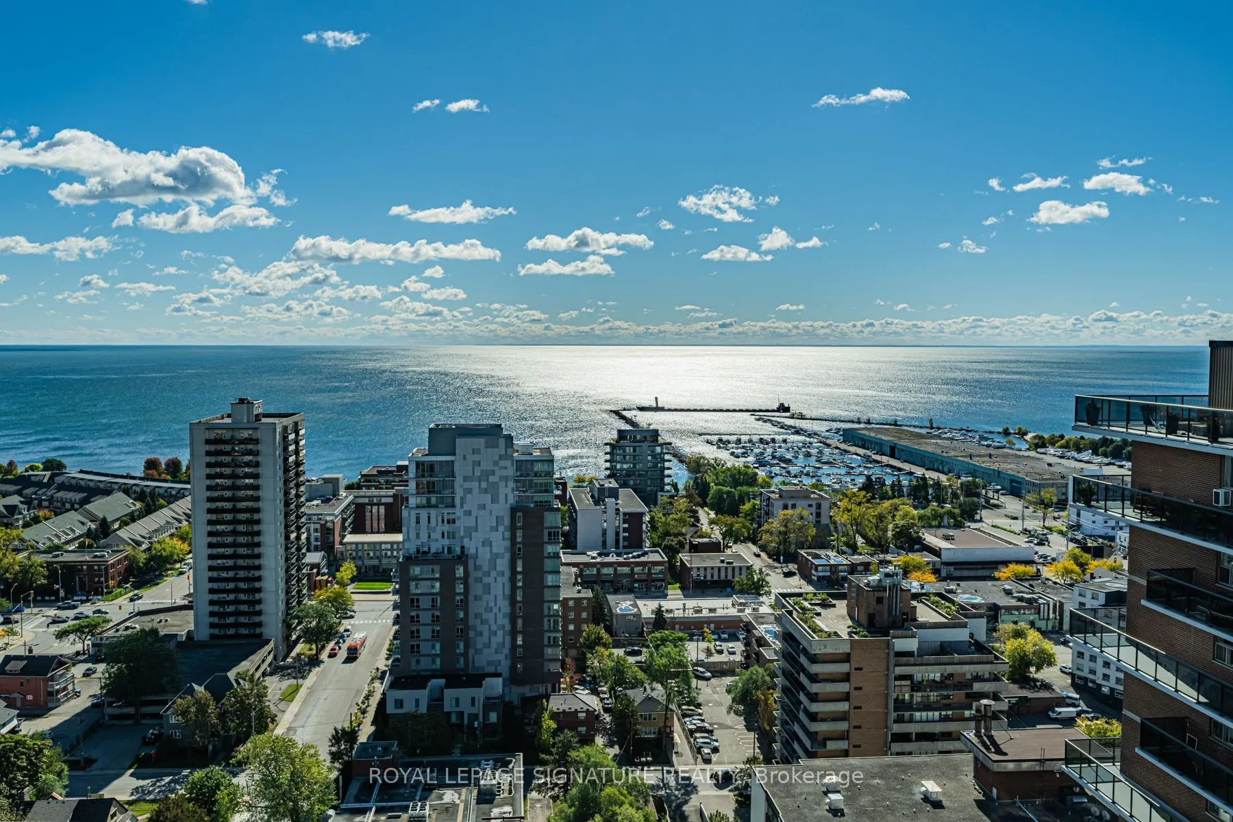 28 Ann Street #2204