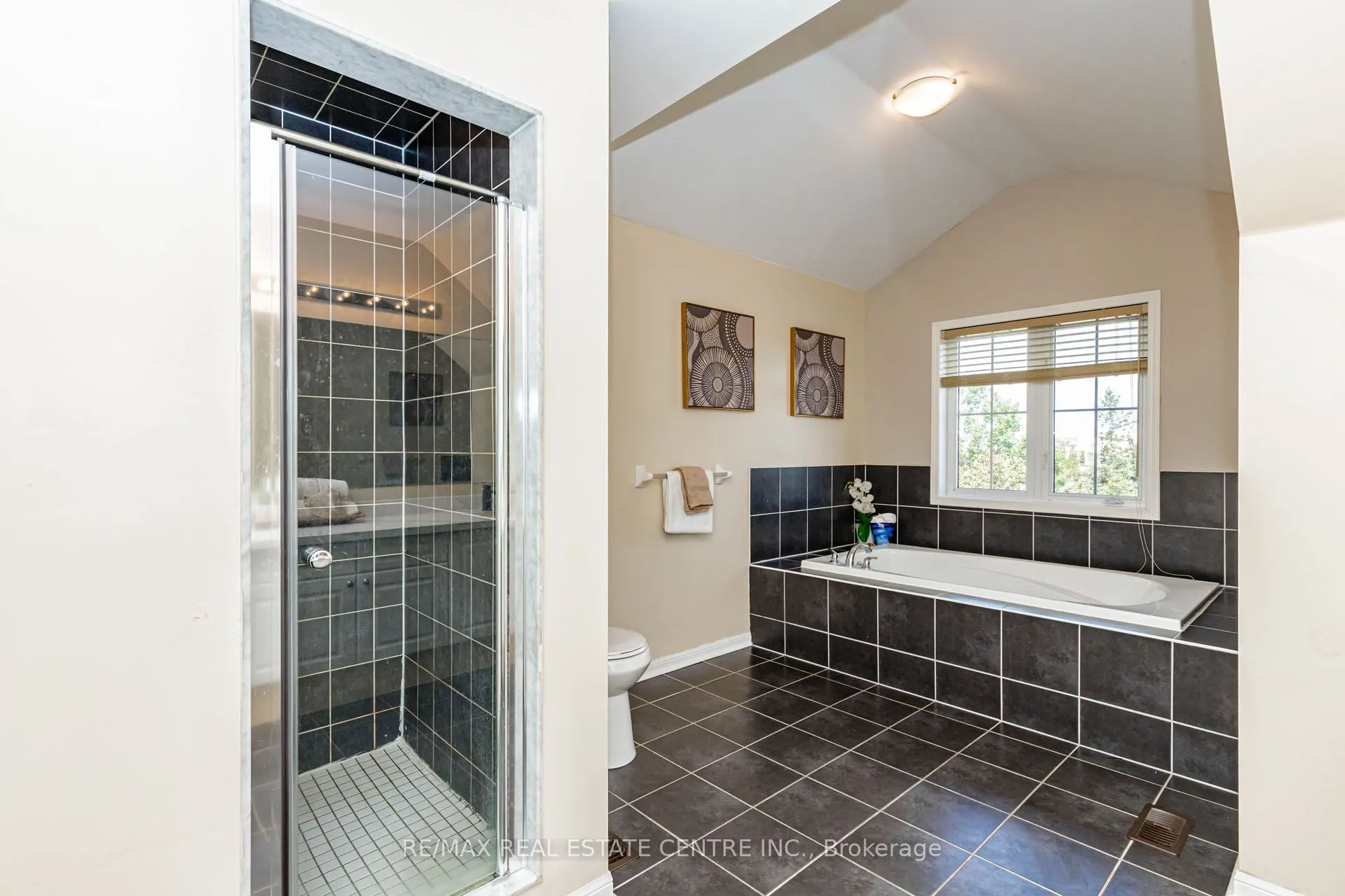 14 Alboreto Way