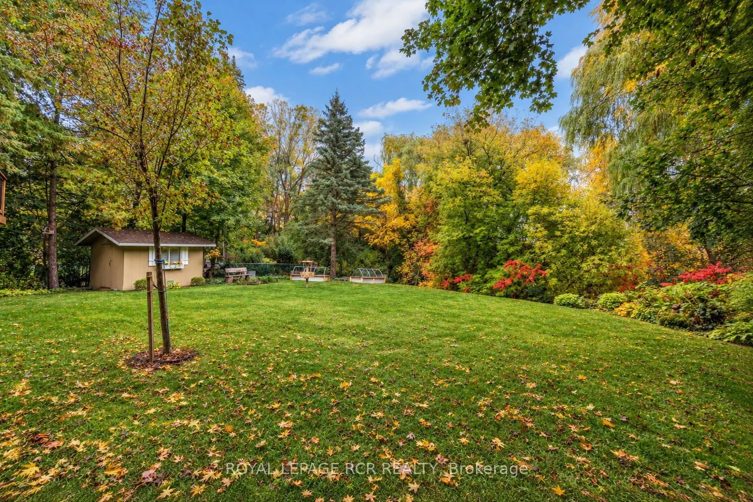 62 Wright Crescent