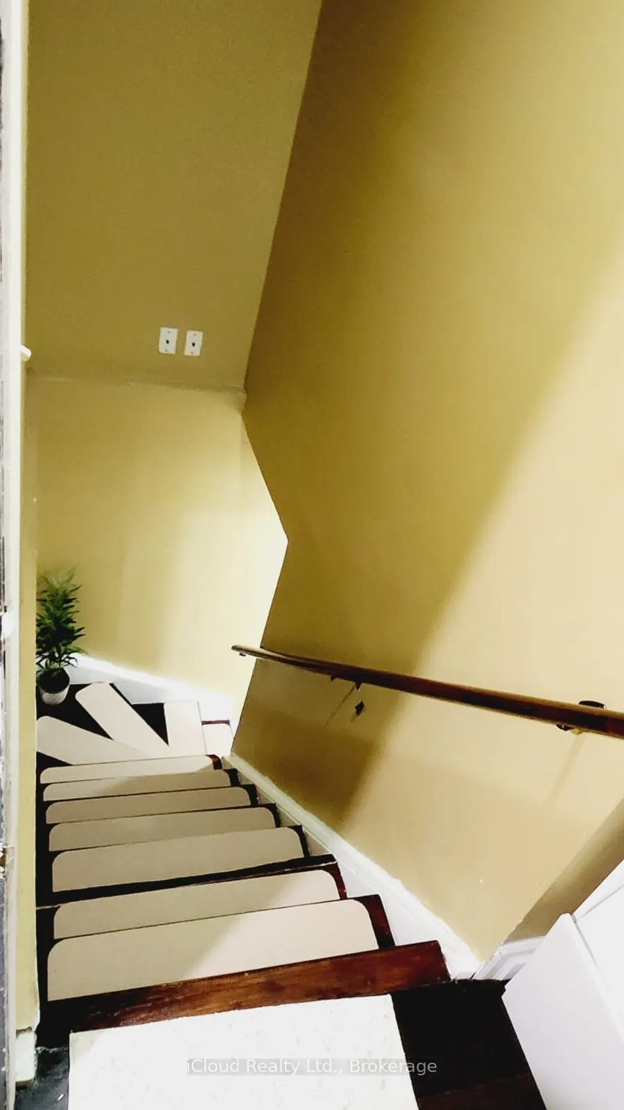 24 Patricia Court #Basement