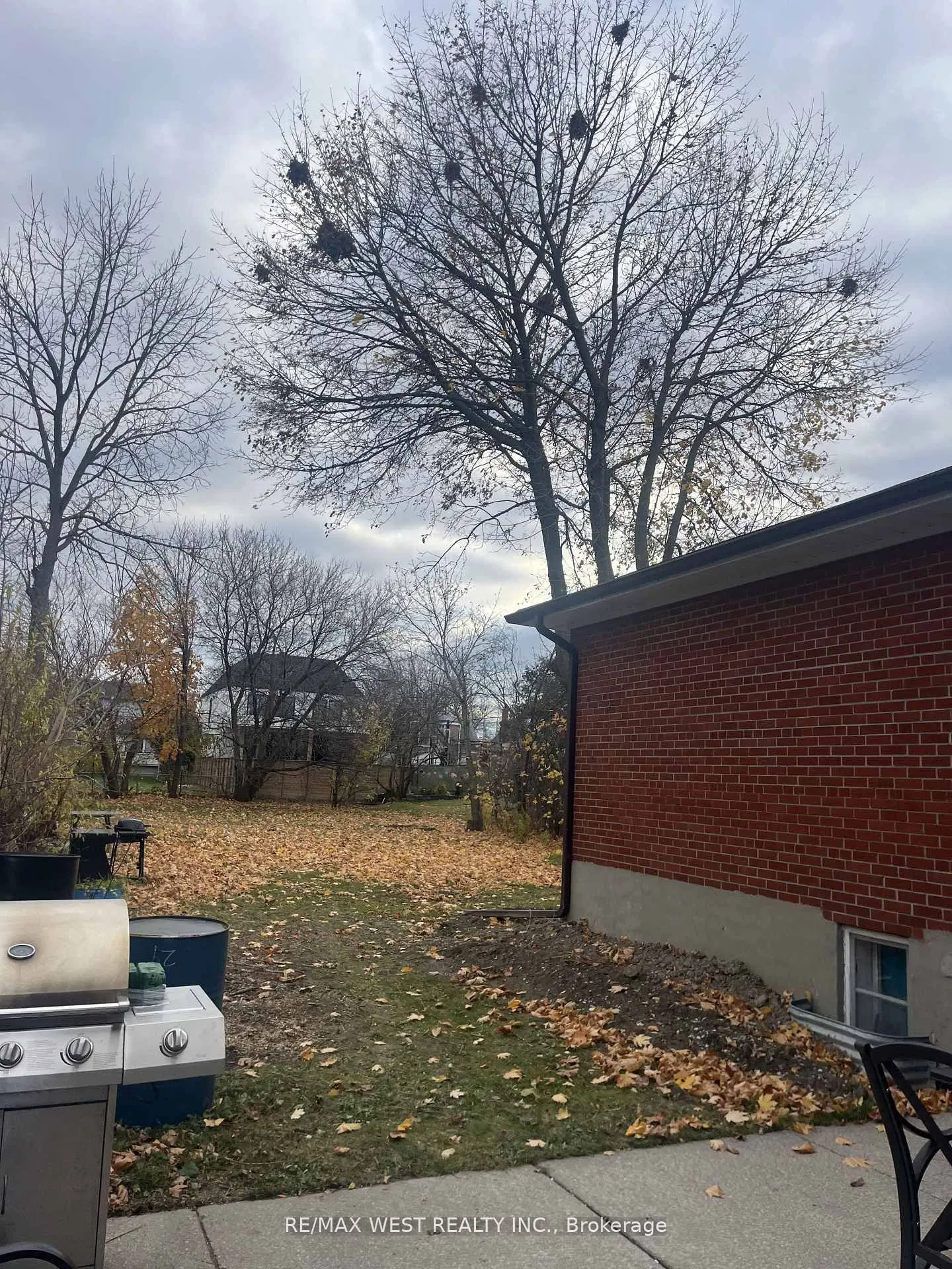 35 Lilywood Road #B1