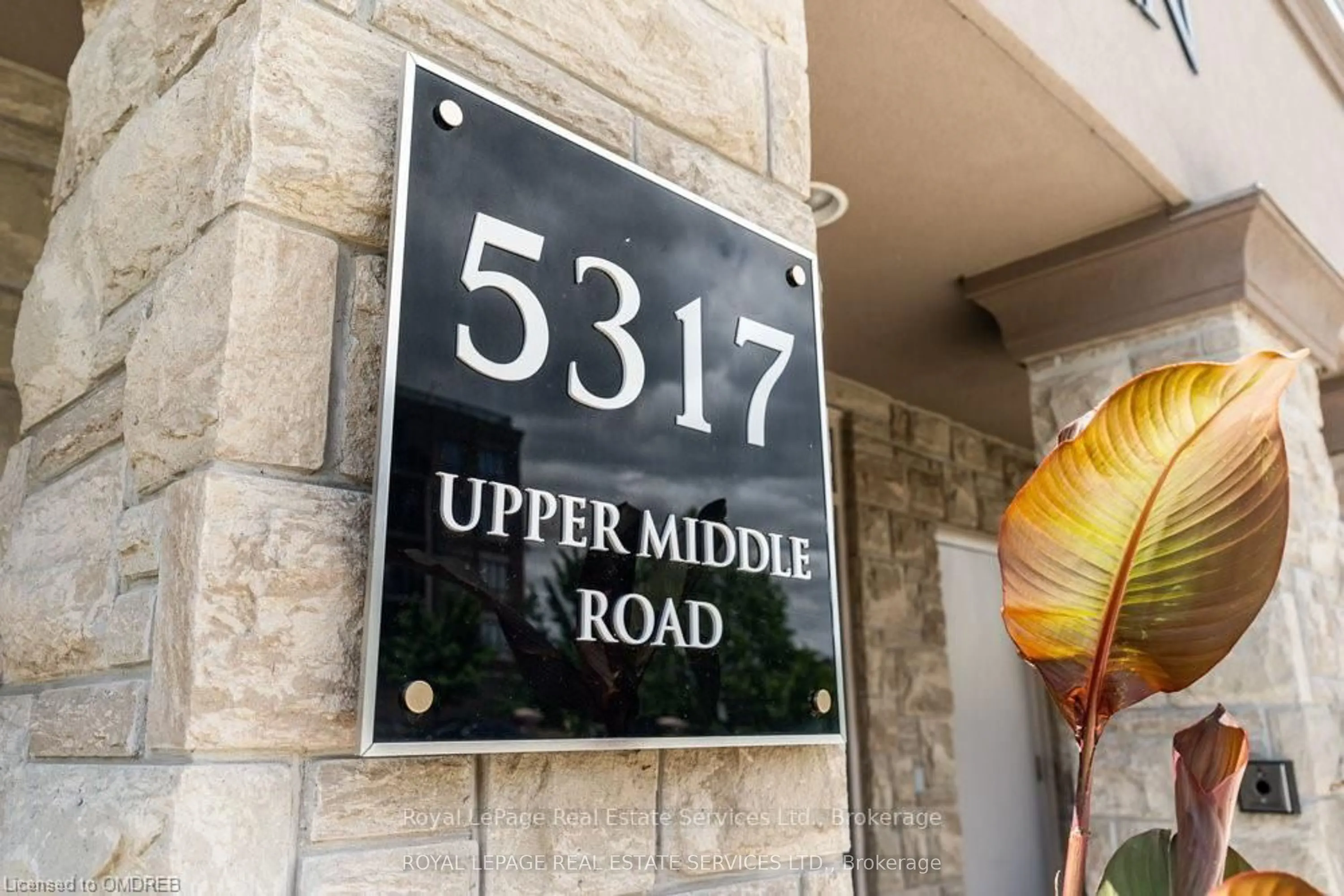 5317 Upper Middle Road #106