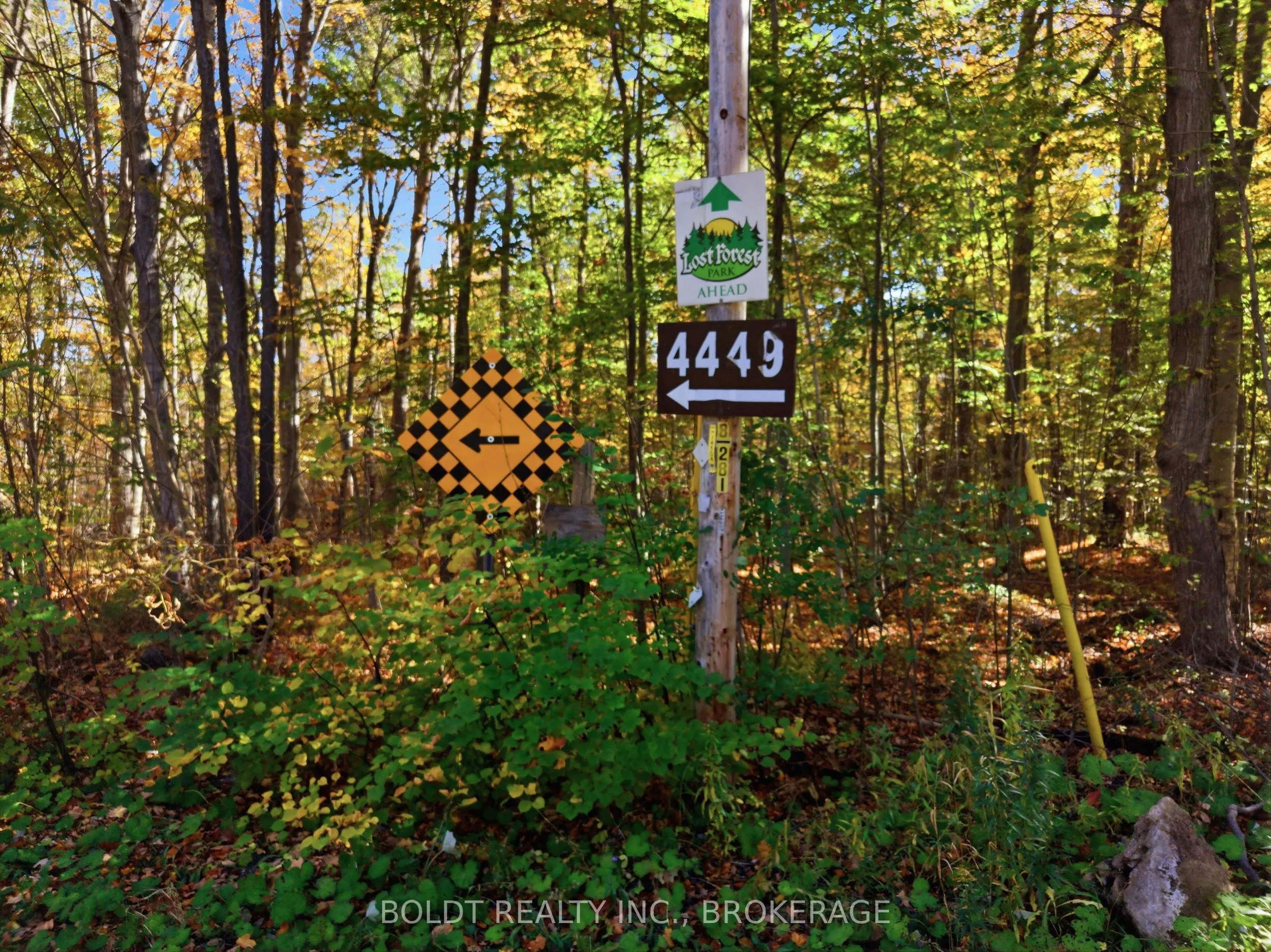 4449 Milburough Line #Ash 31