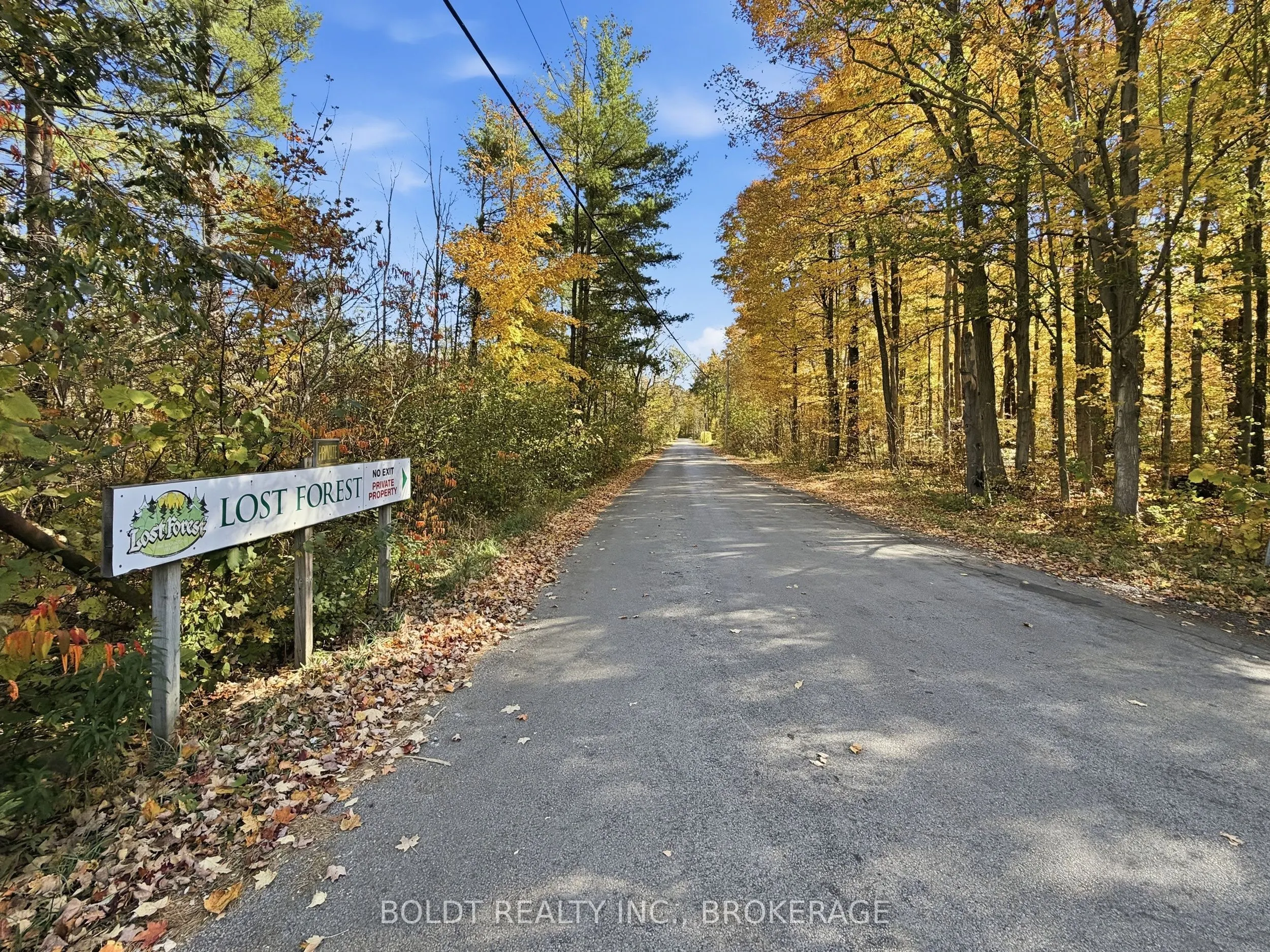 4449 Milburough Line #Ash 31