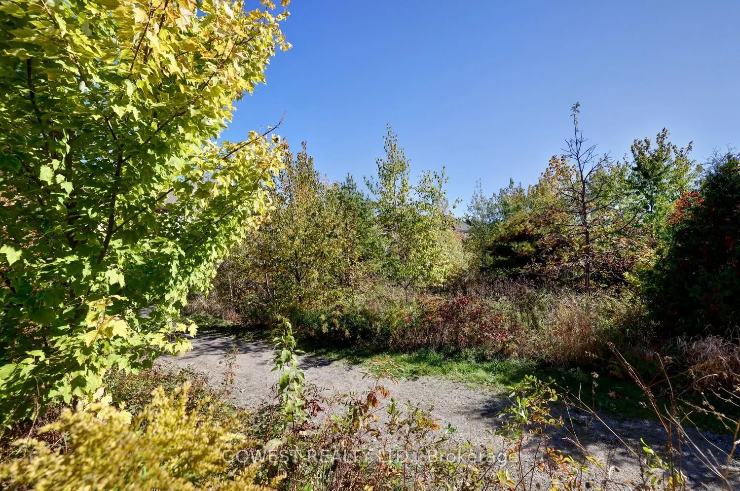 14 Threshing Mill Boulevard