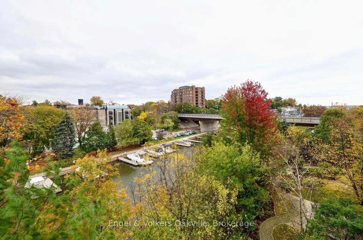 111 Forsythe Street #305