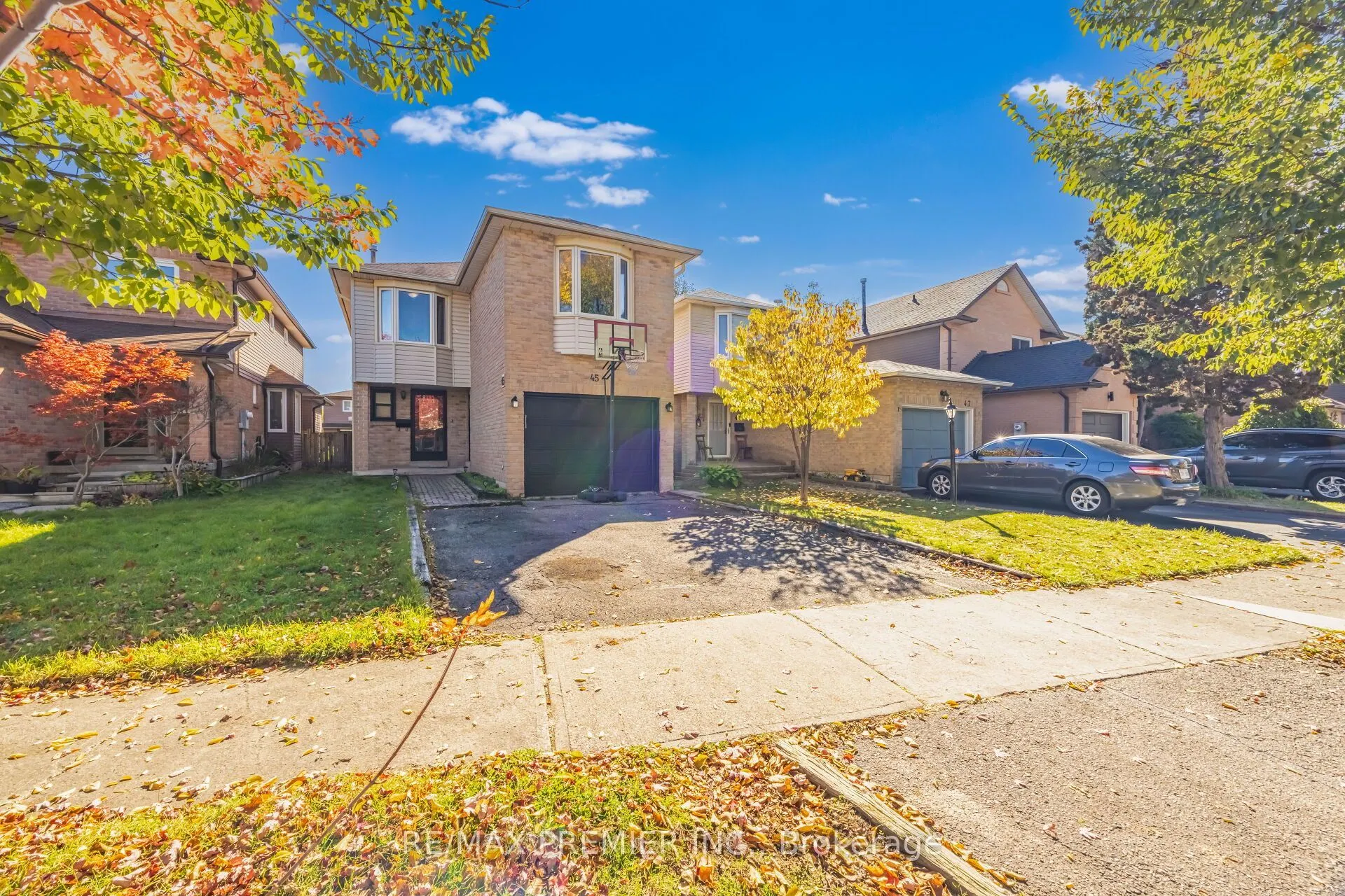45 Rosebud Avenue