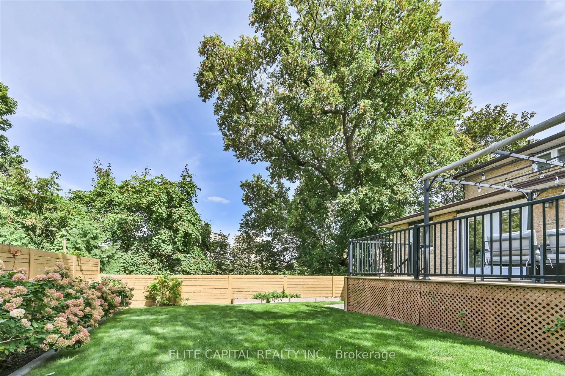 20 Raymore Drive