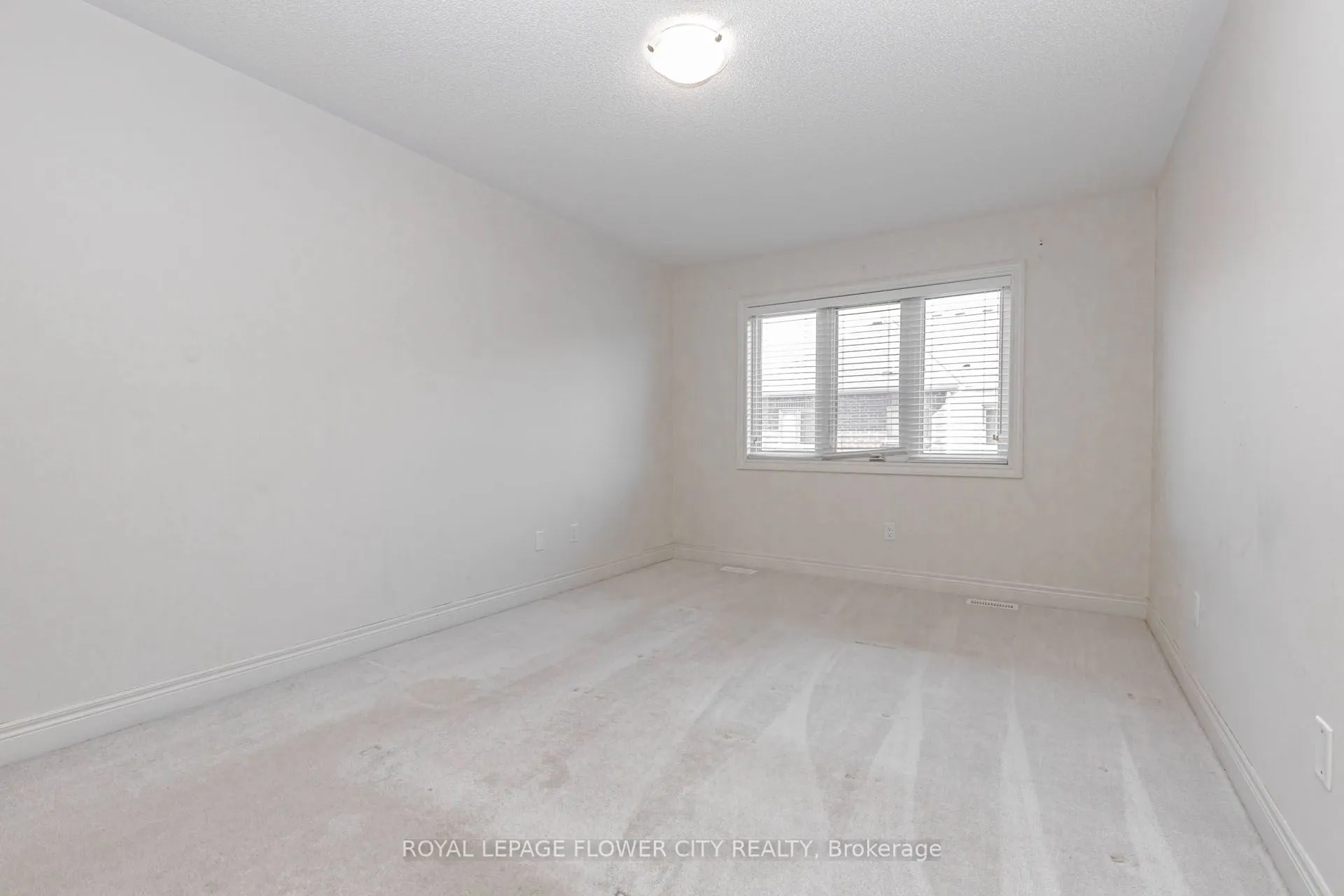 462 Sheaffe Place