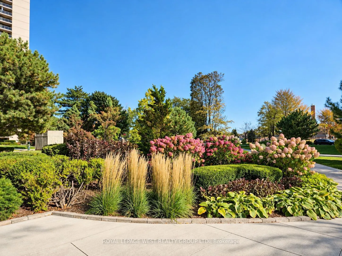 299 Mill Road #1502