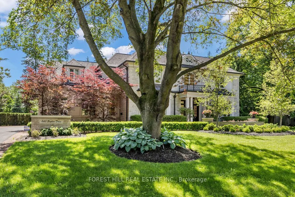 240 Poplar Drive