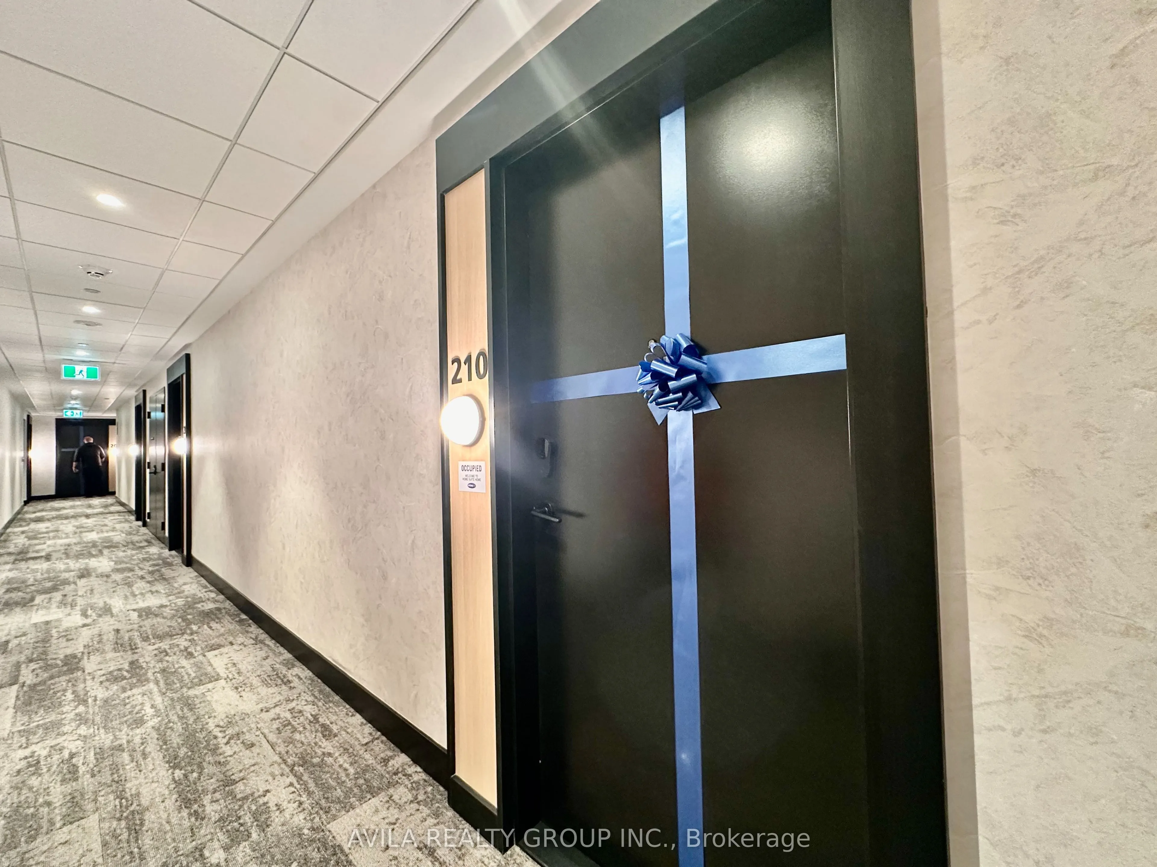 3008 William Cutmore Boulevard #210
