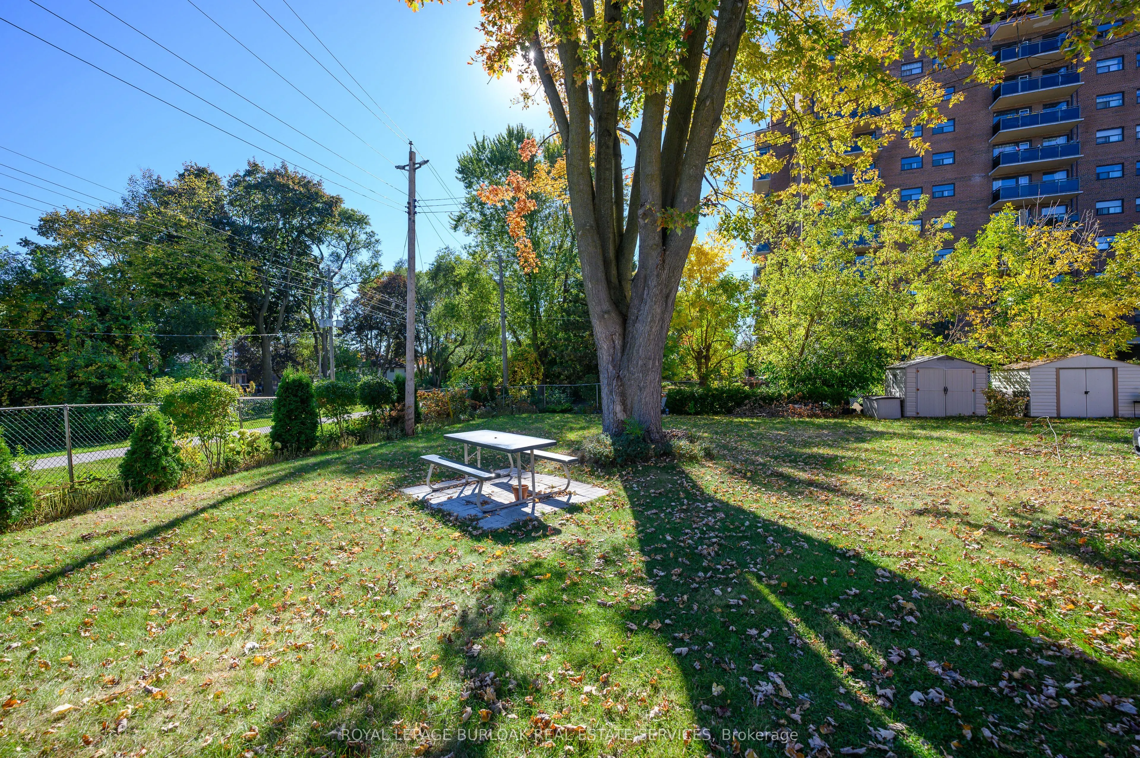 2420 New Street #1
