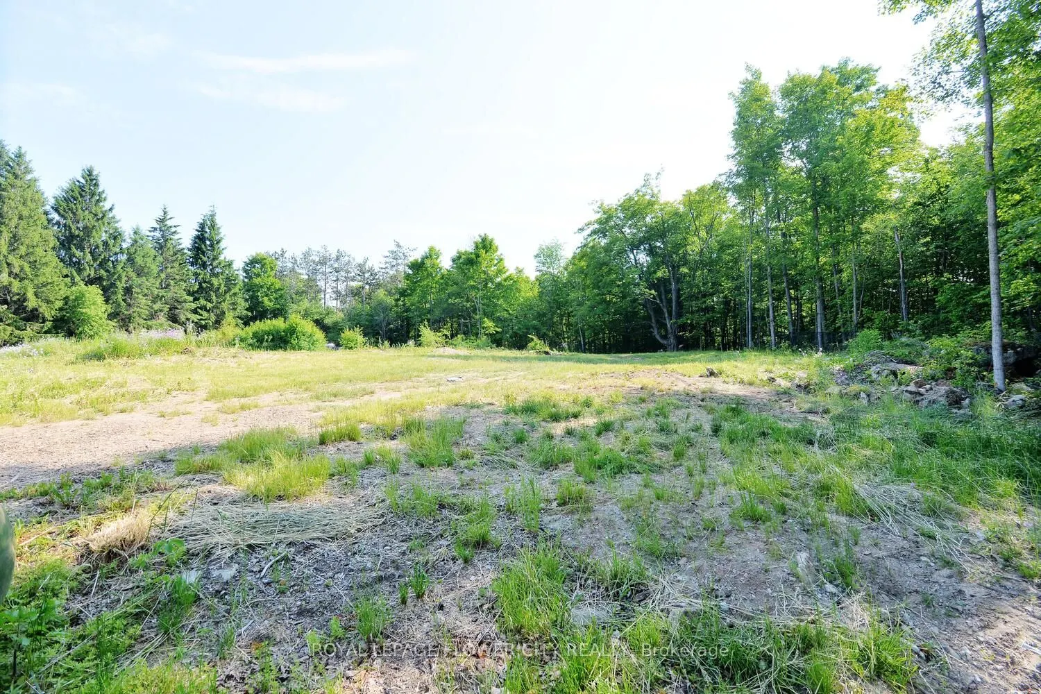 15790 Mississauga Road