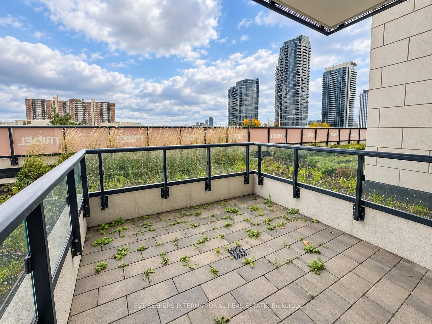 10 Eva Road #207