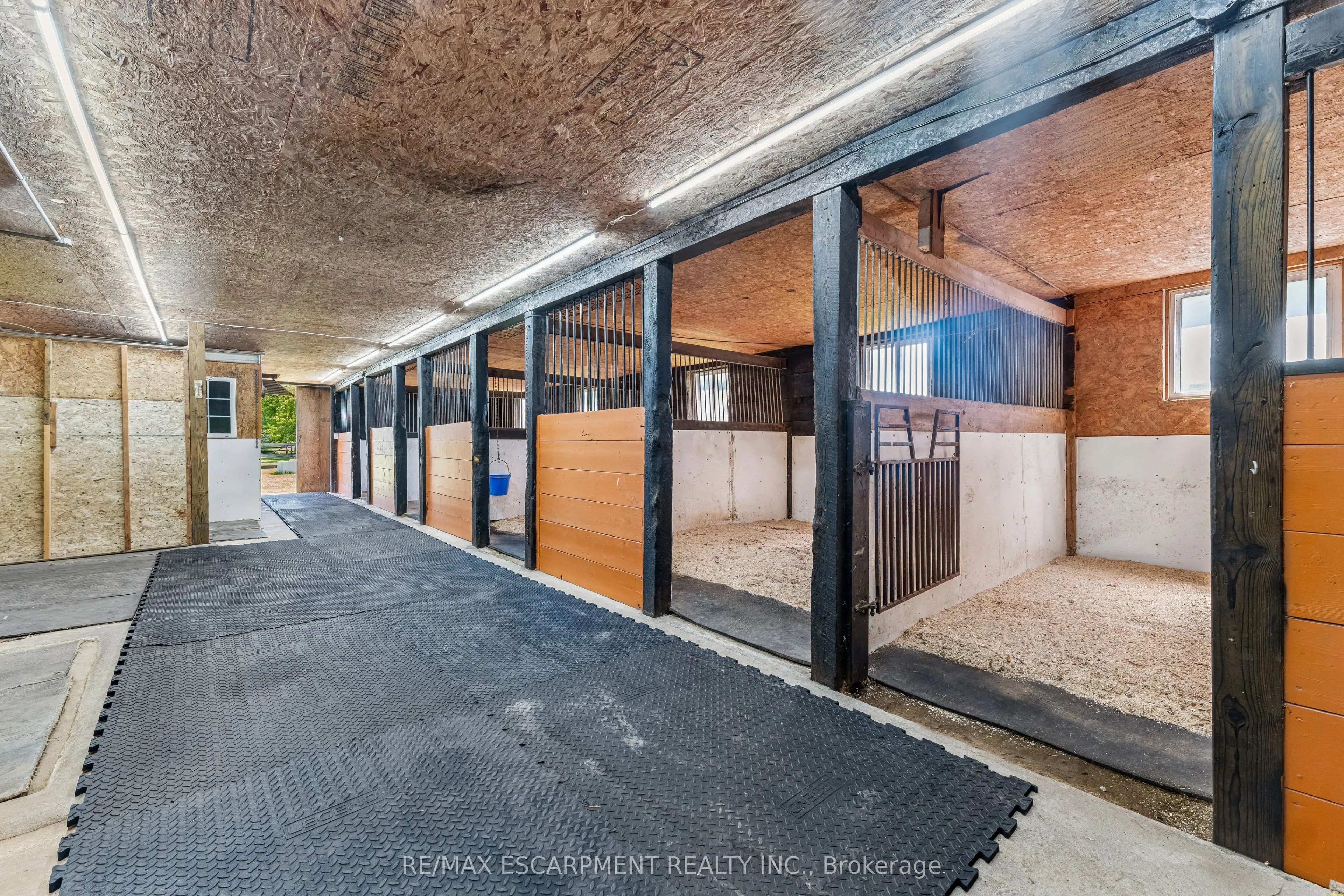 1250 Arkell Road