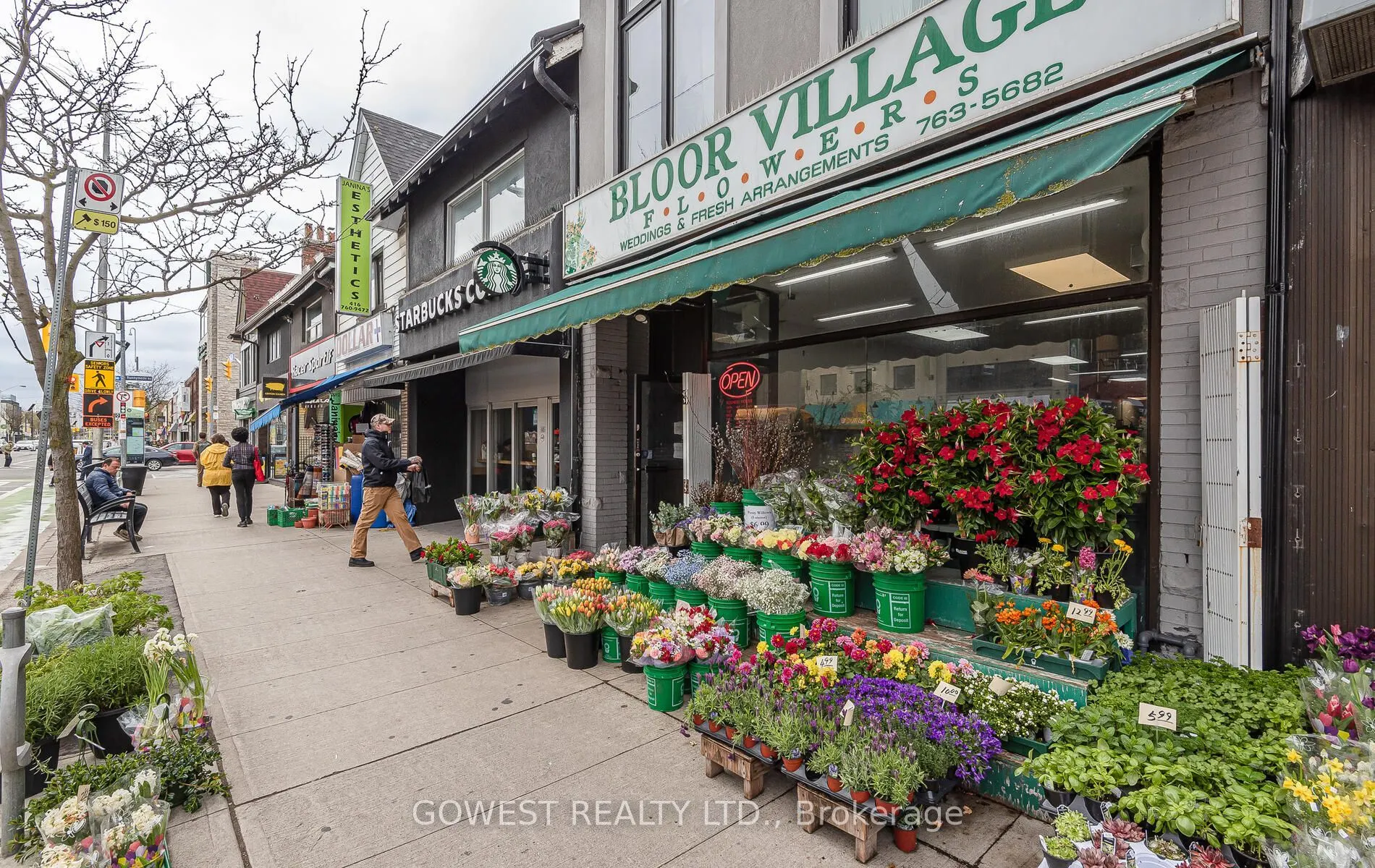 205 Keele Street #306