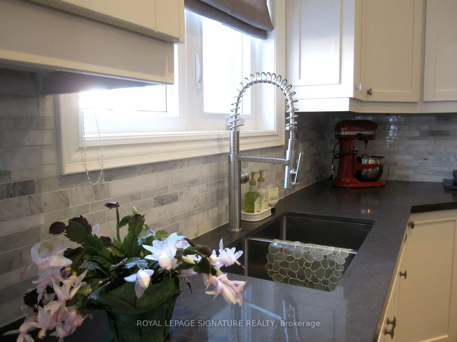 18B Algoma Street