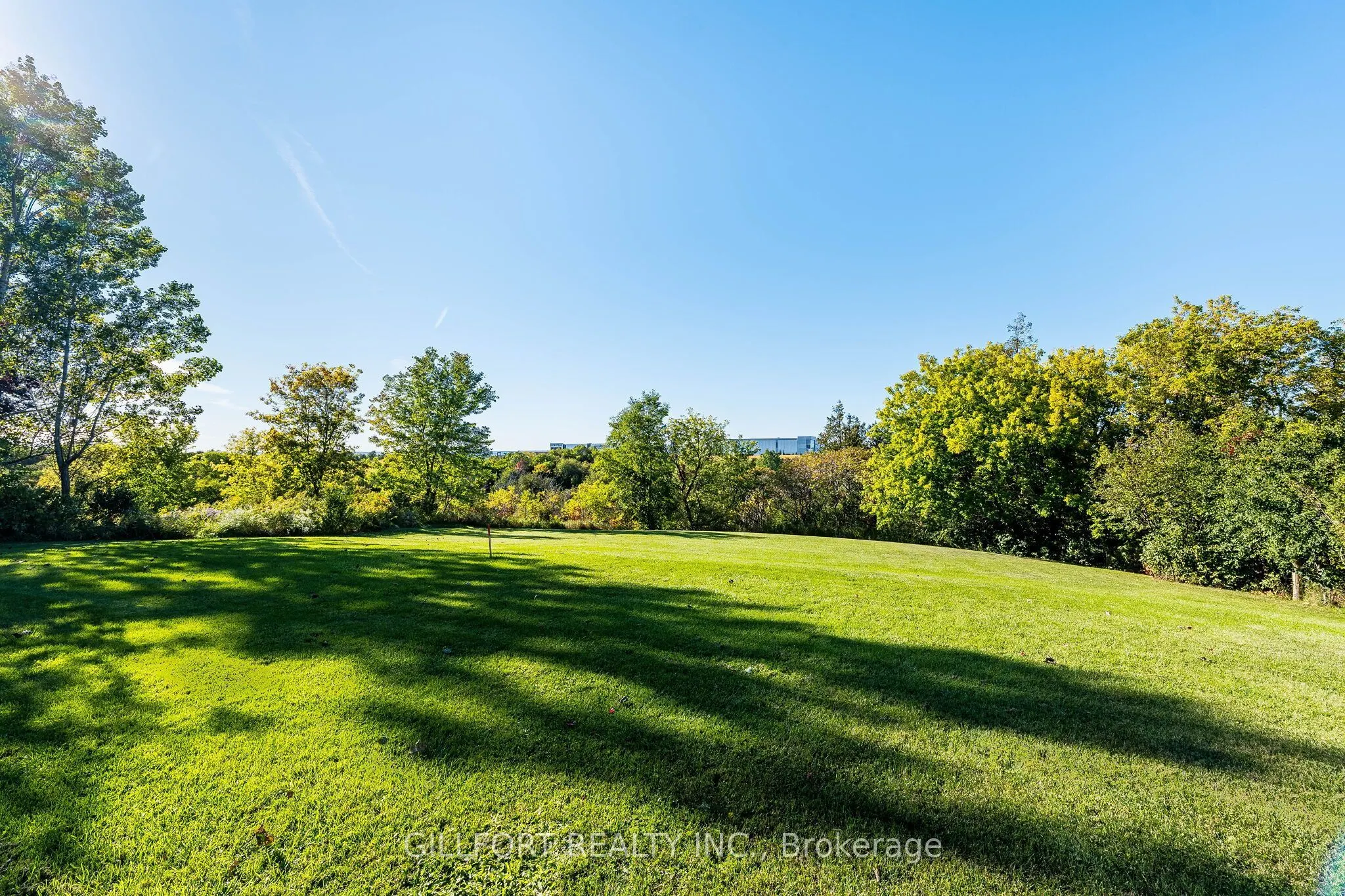 3742 Mayfield Road