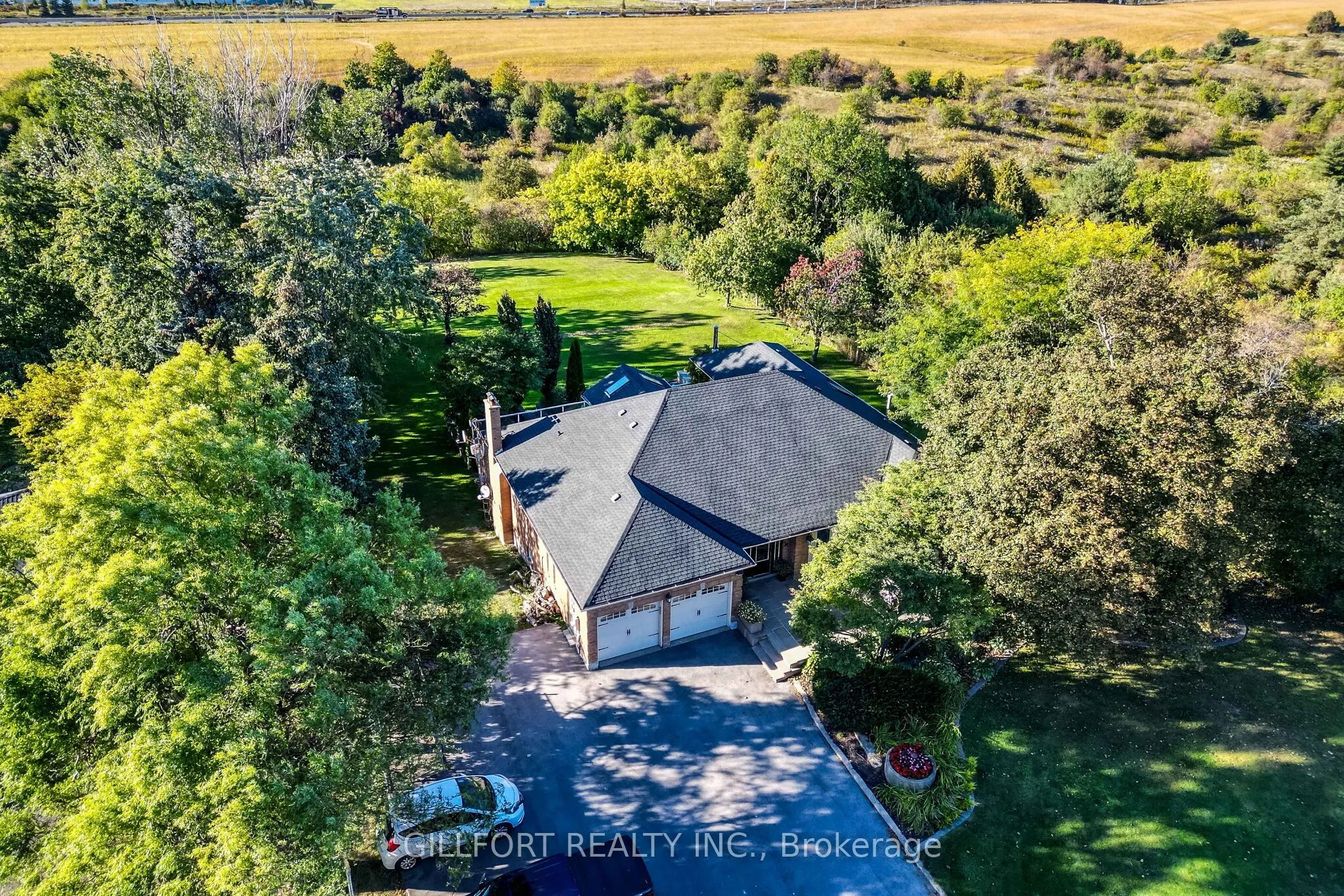 3742 Mayfield Road