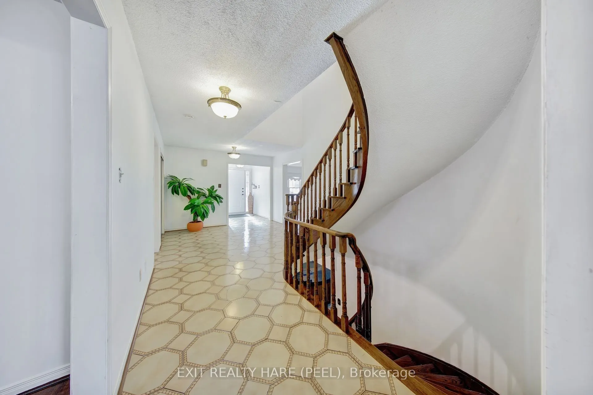 45 Mossbank Drive