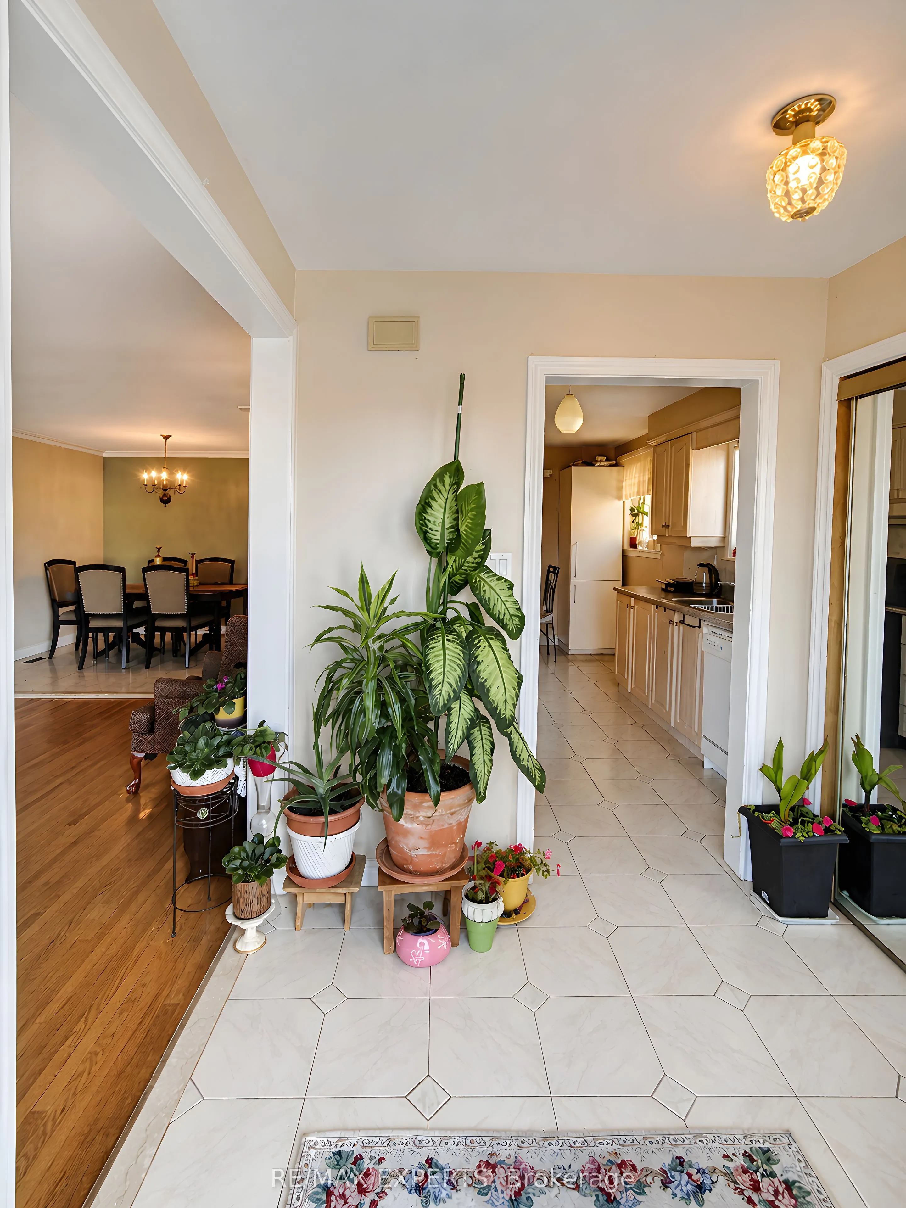 22 Rita Drive