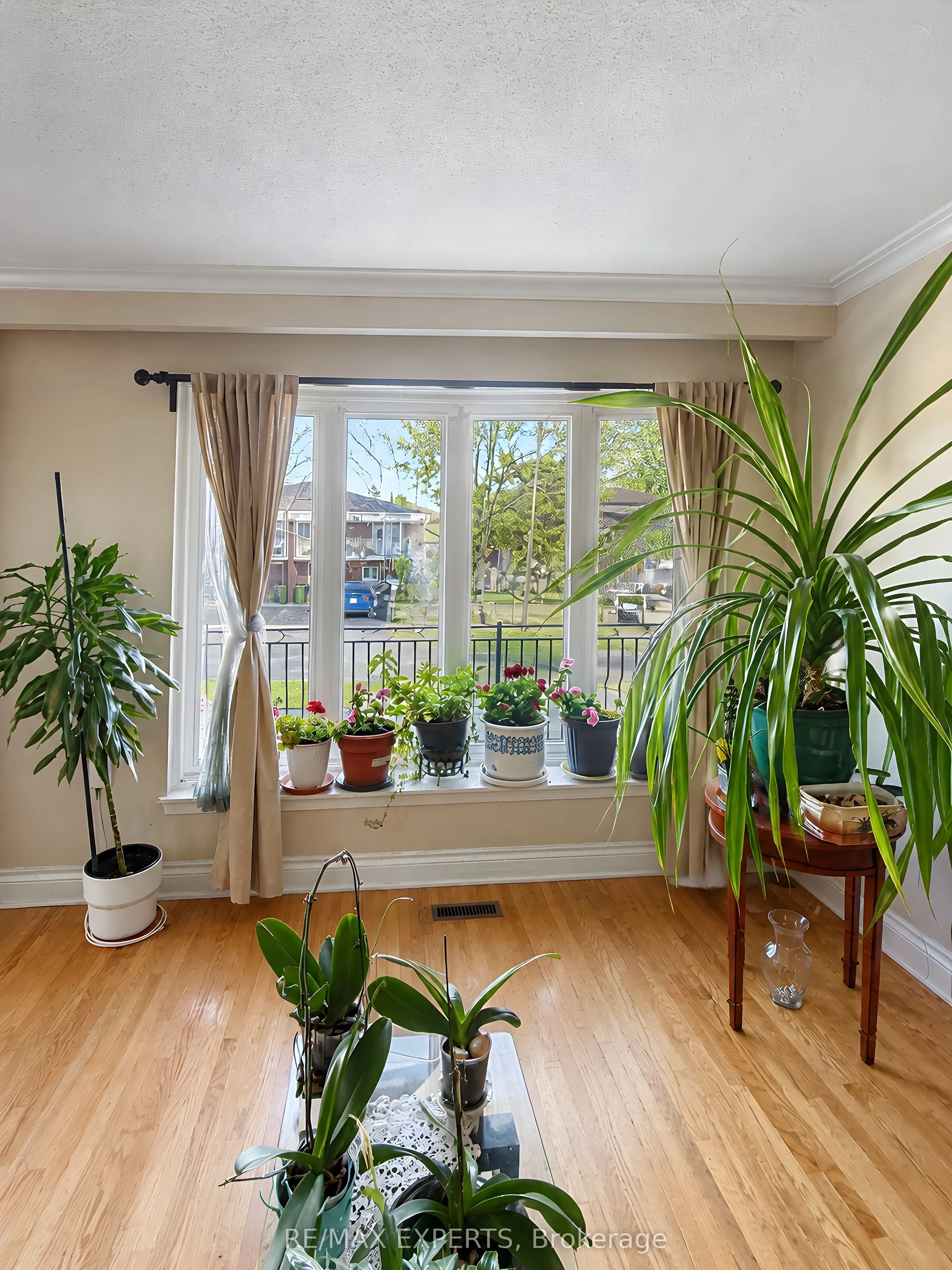 22 Rita Drive