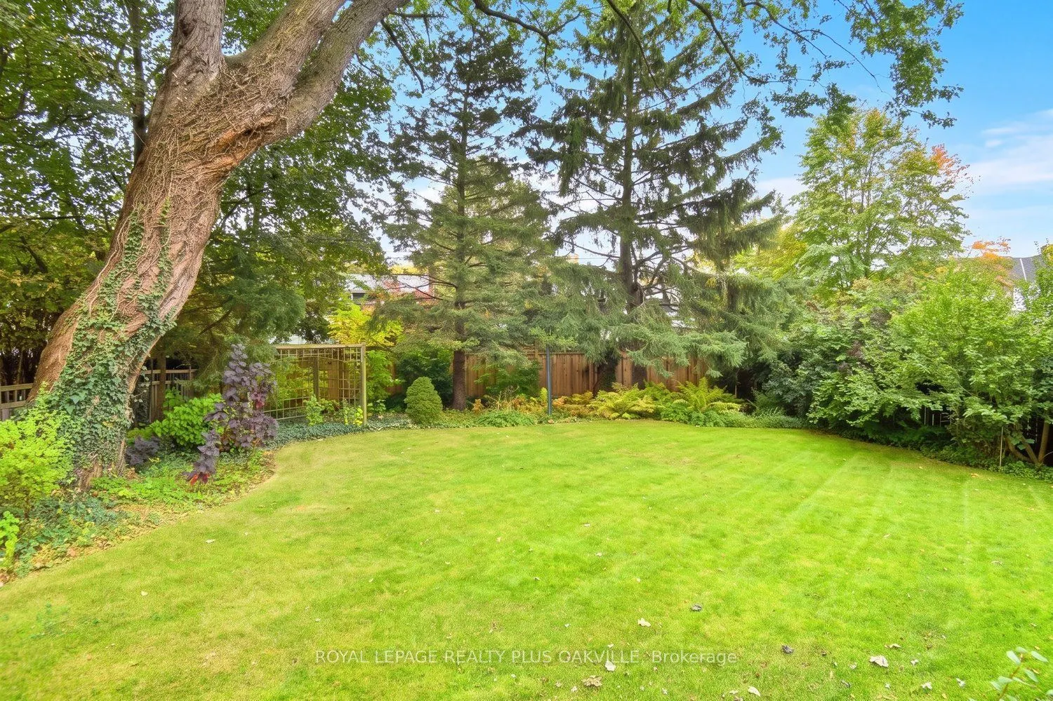 274 Belvenia Road