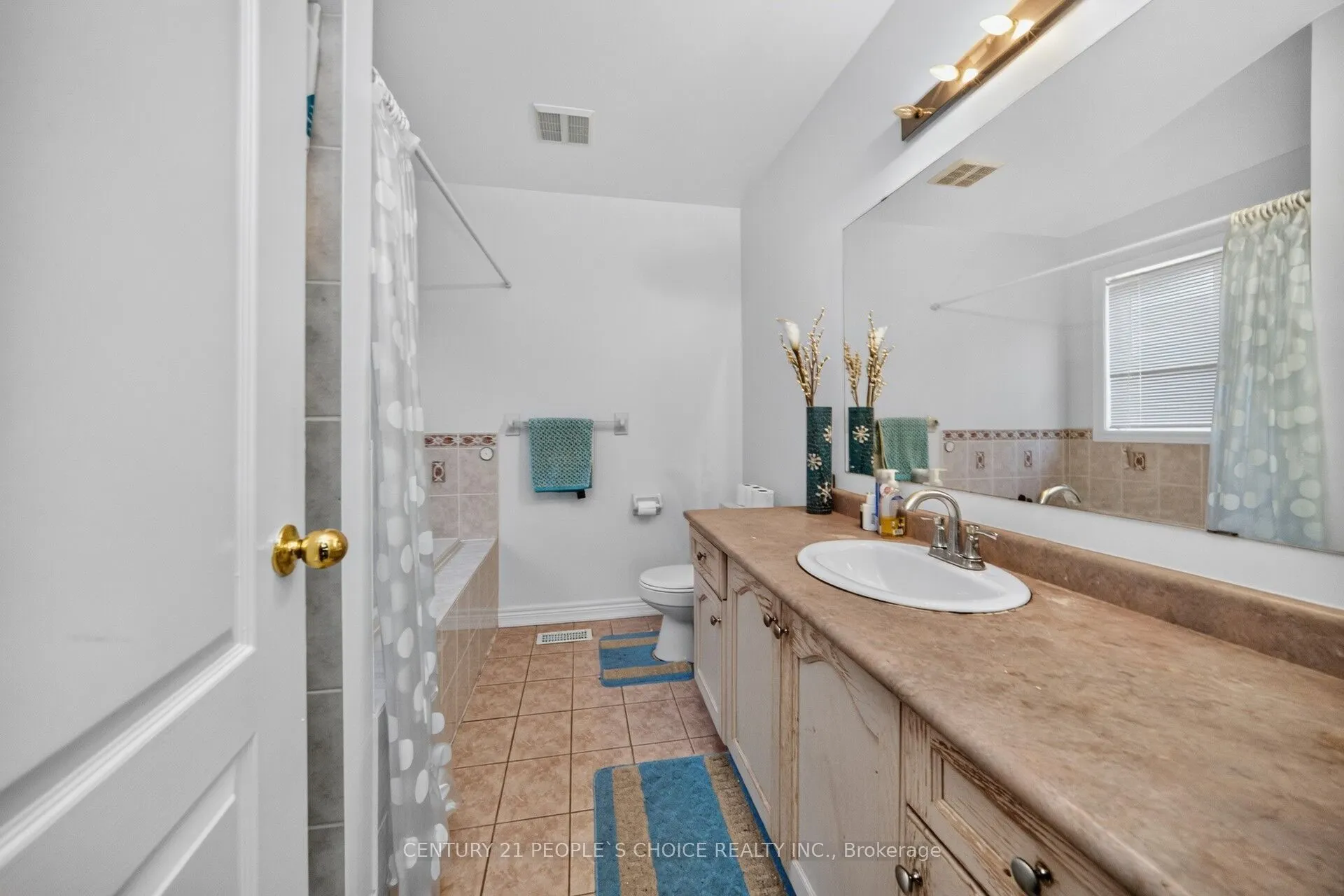 7273 Gagliano Drive