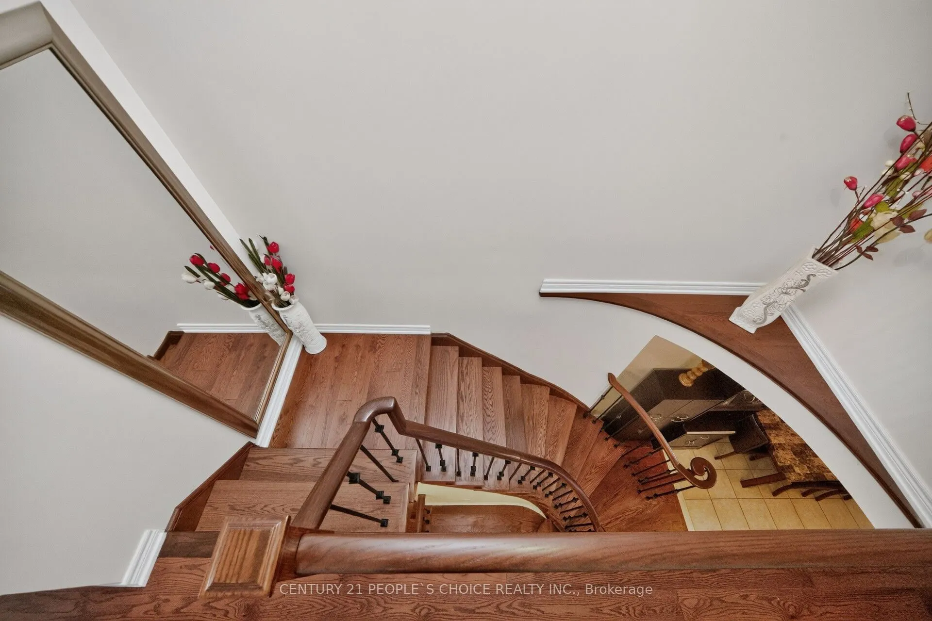 7273 Gagliano Drive