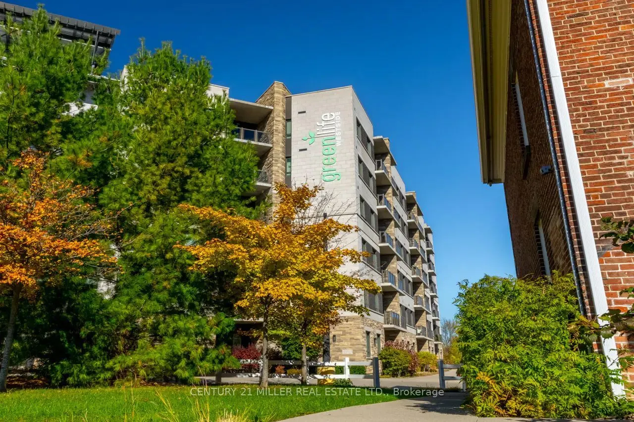 33 Whitmer Street #523