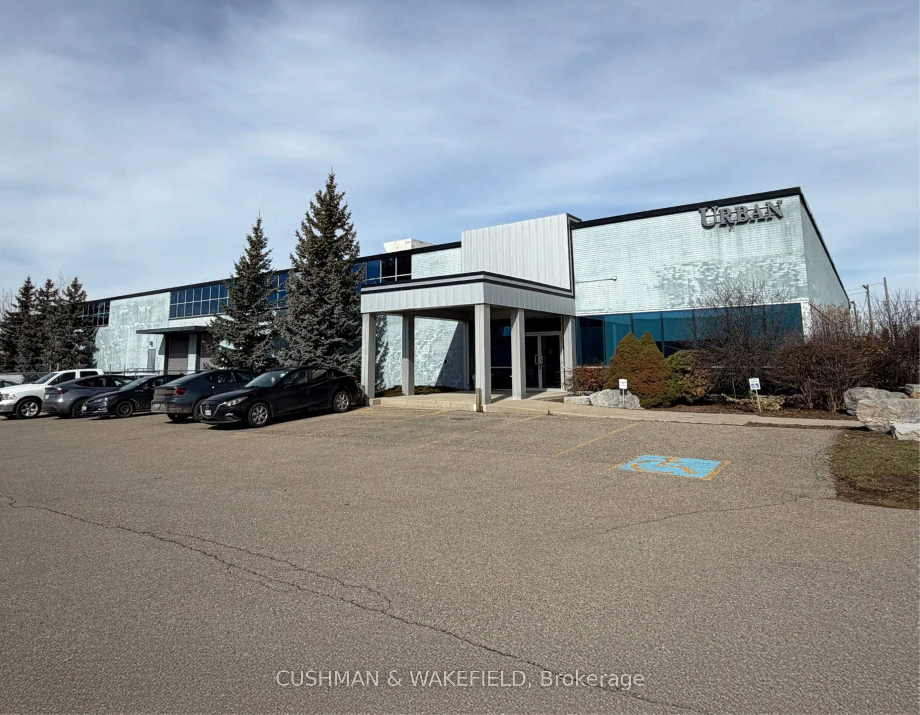 254 Attwell Drive