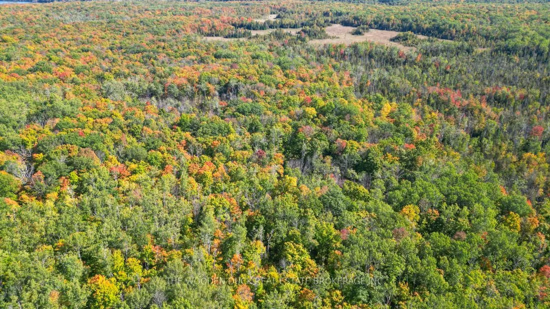 0East2 Road allowance Road