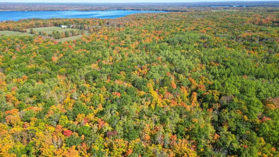 0East2 Road allowance Road