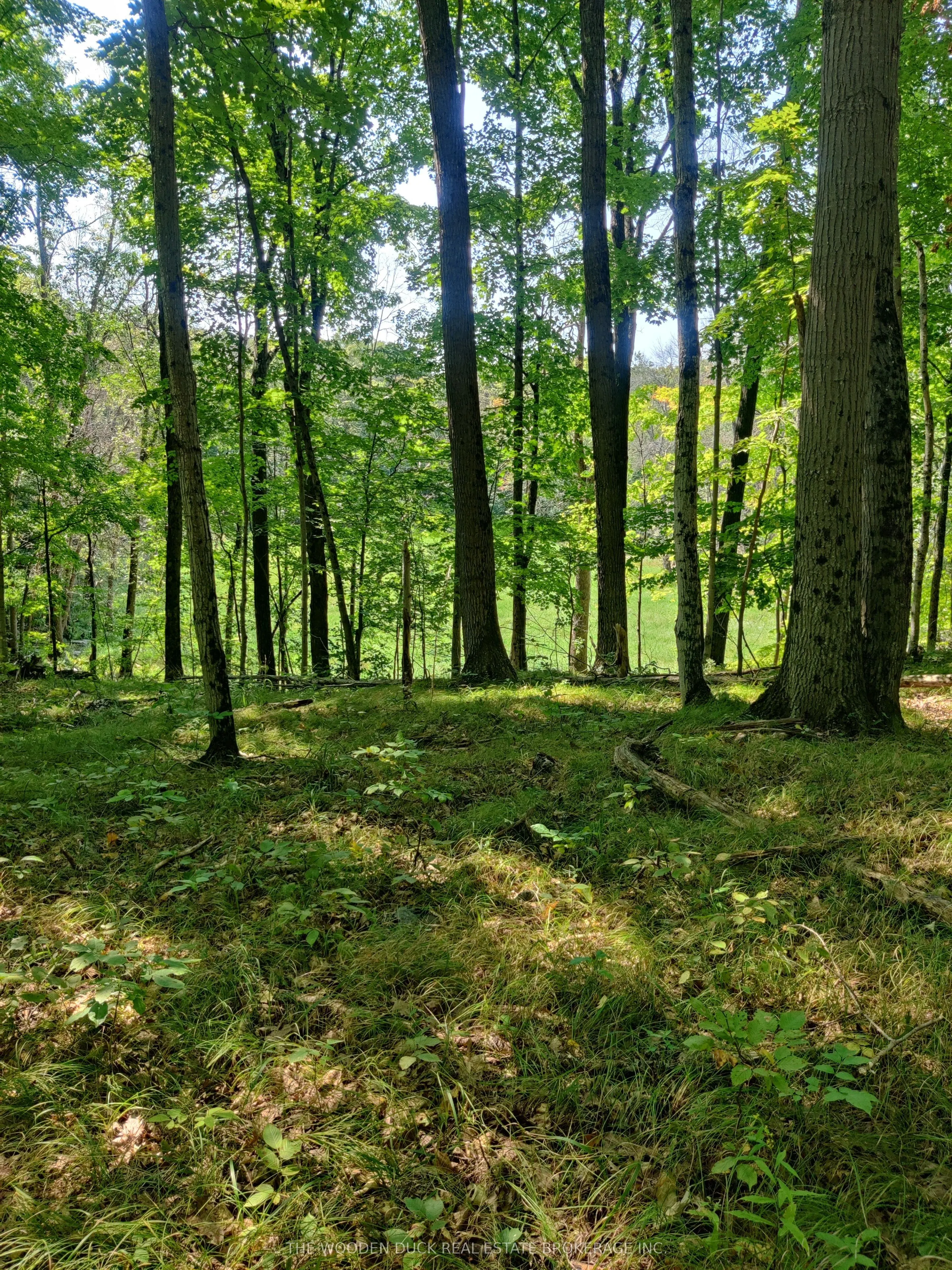 0East2 Road allowance Road