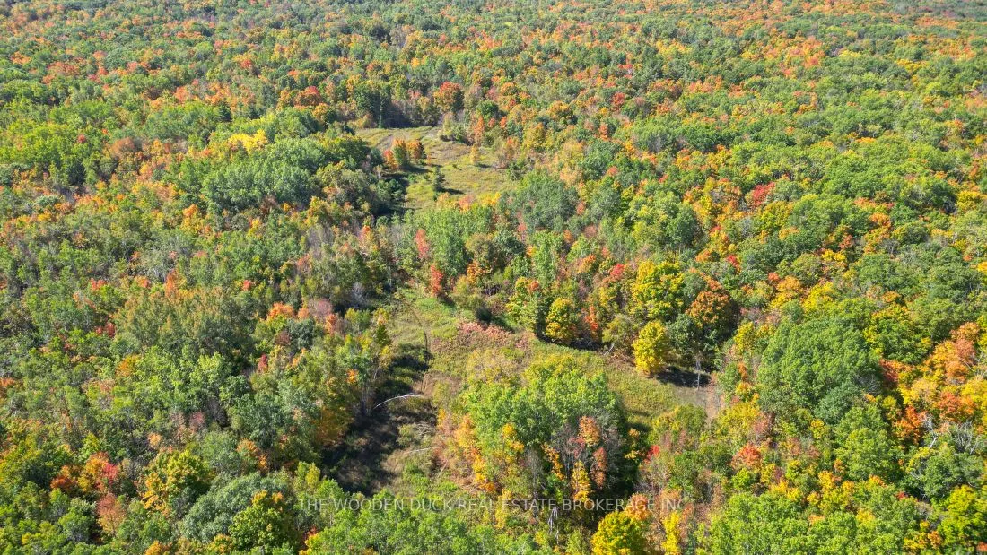 0East2 Road allowance Road