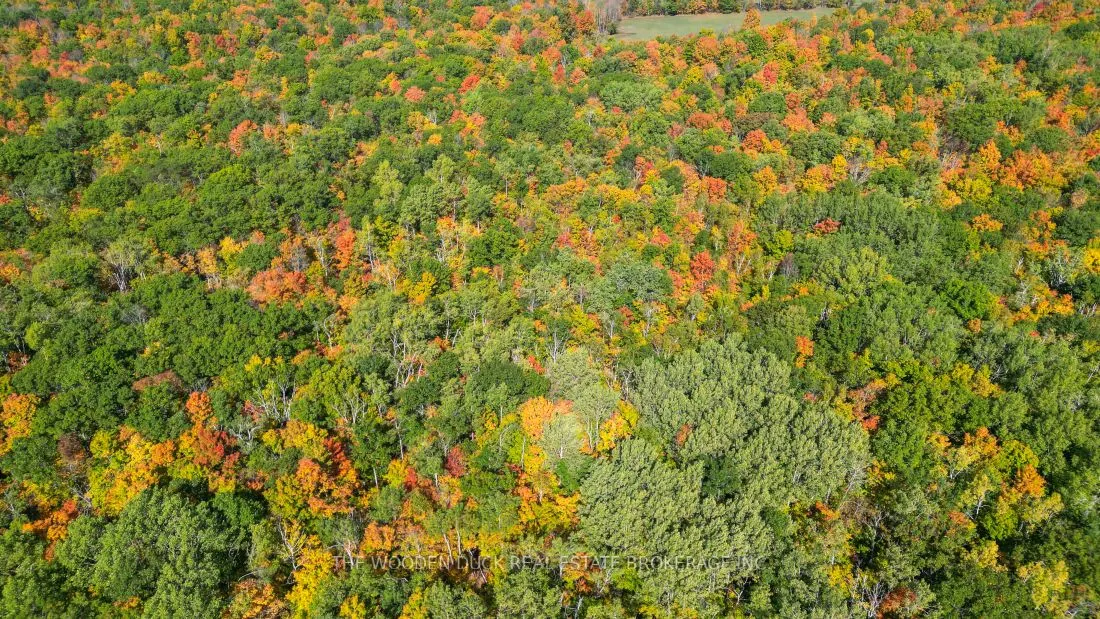 0East2 Road allowance Road