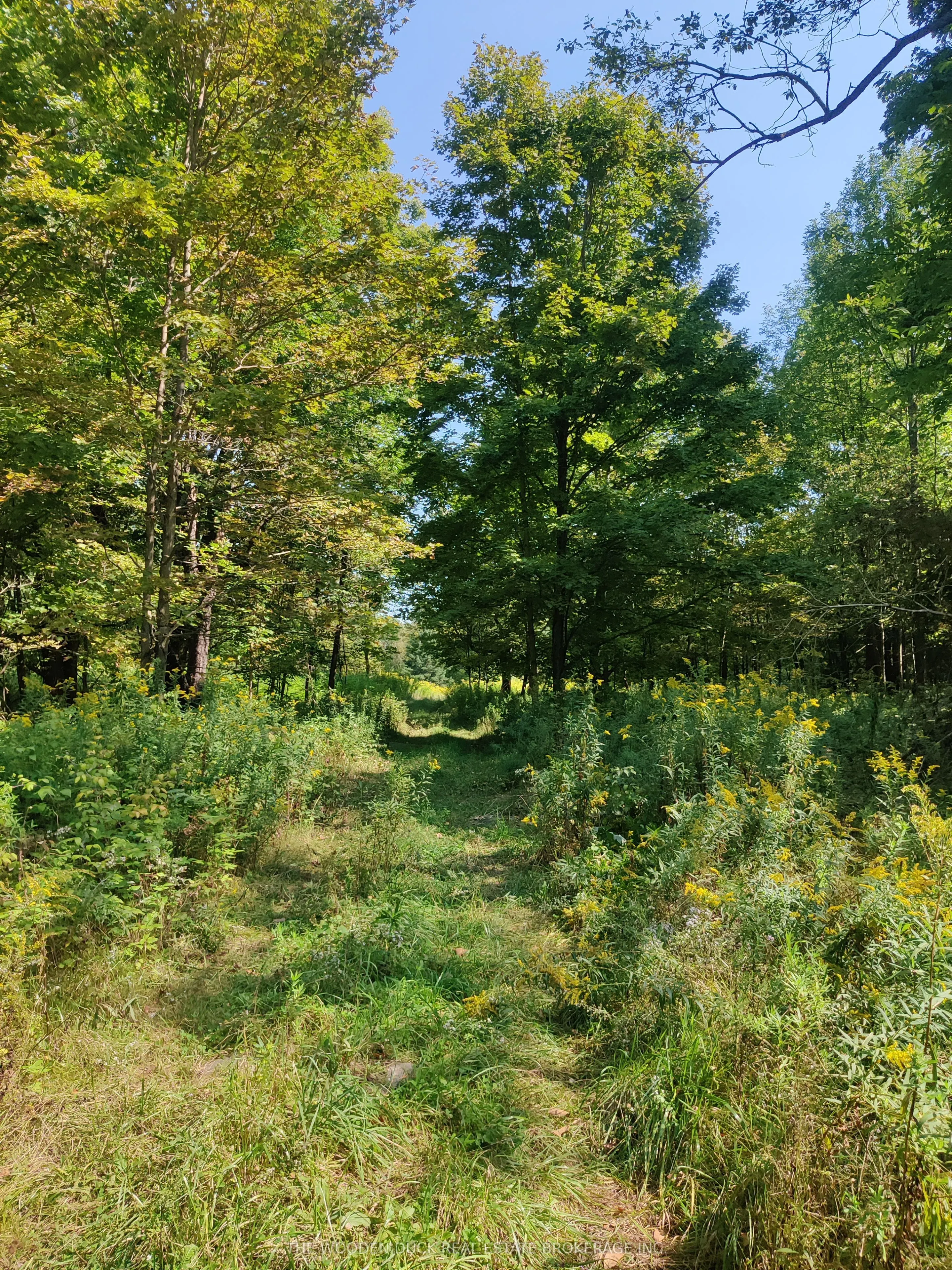 0East2 Road allowance Road