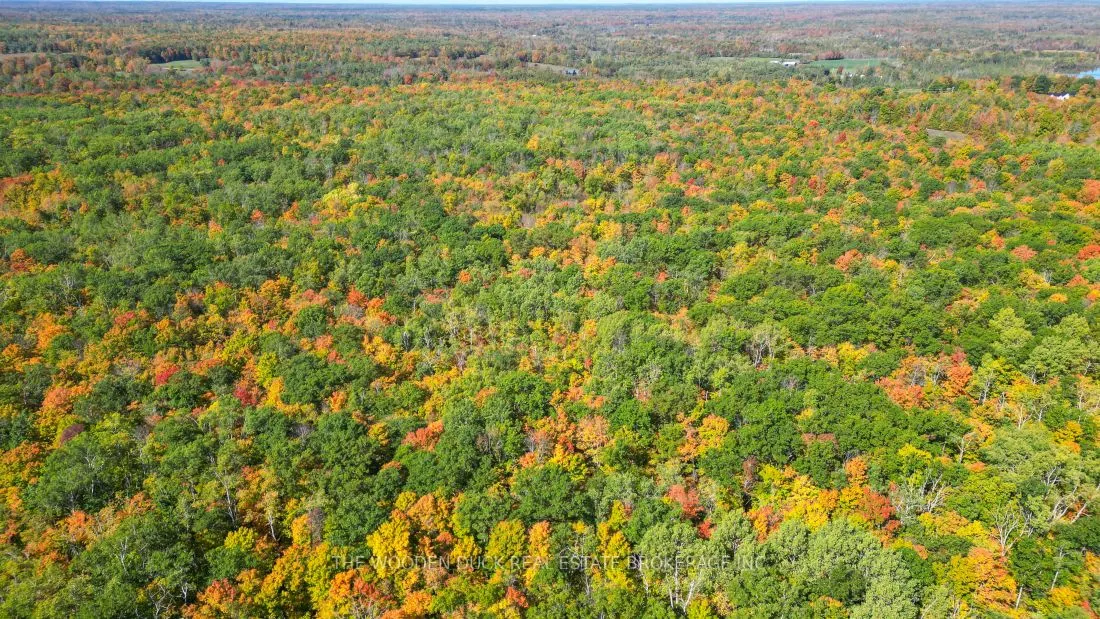 0East2 Road allowance Road